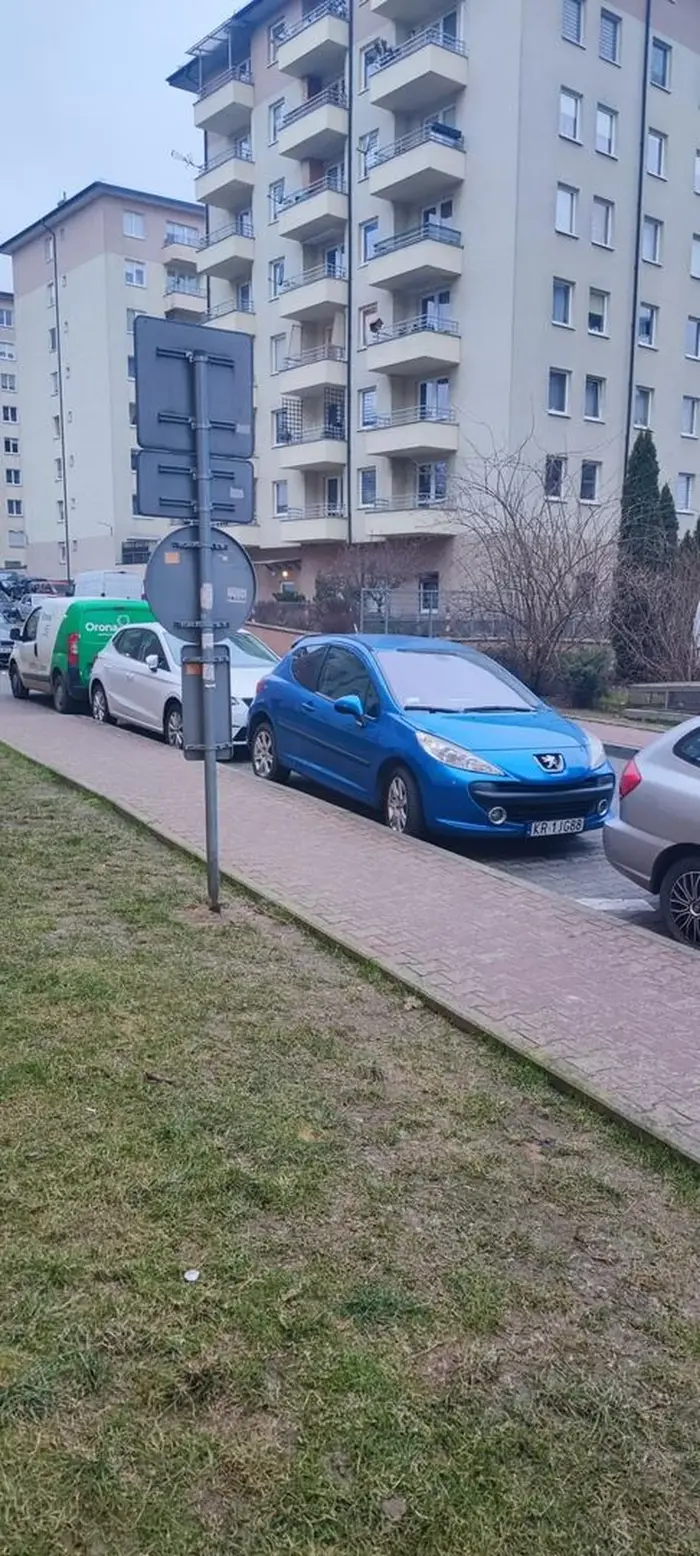 Czy zakaz parkowania w zatoczce do wymijania tego kierowcy nie obejmuje?