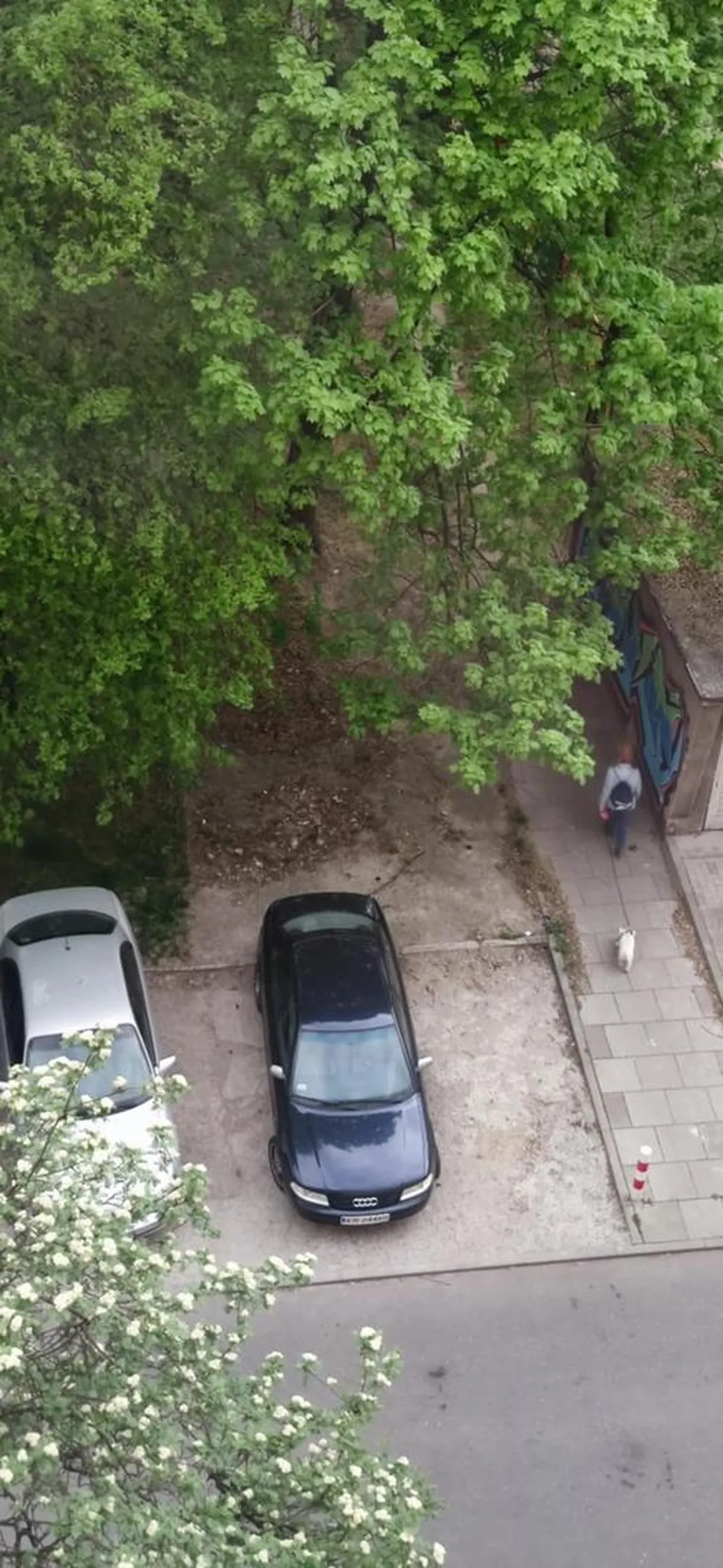 Od trzech dni stoi zaparkowany tak że zostawił miejsce na pół auta z obu stron, w dzielnicy gdzie ciężko znaleźć jakiekolwiek..