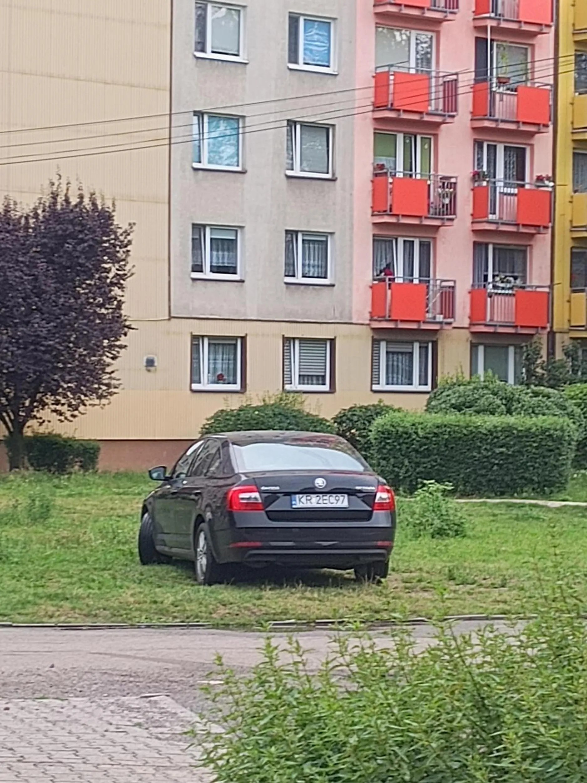 Naucz się parkować