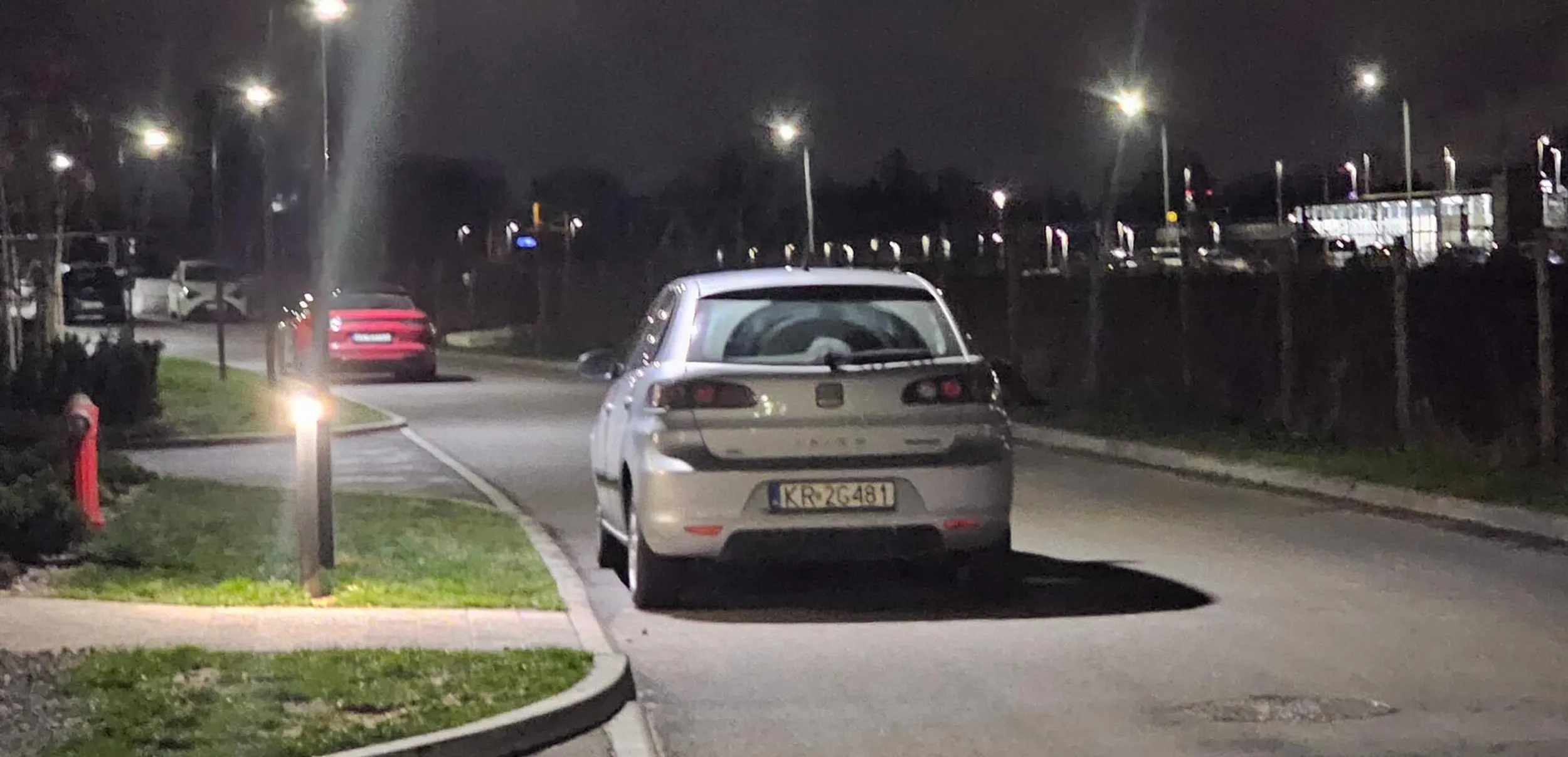 gamoń parkuje na drodze pożarowej