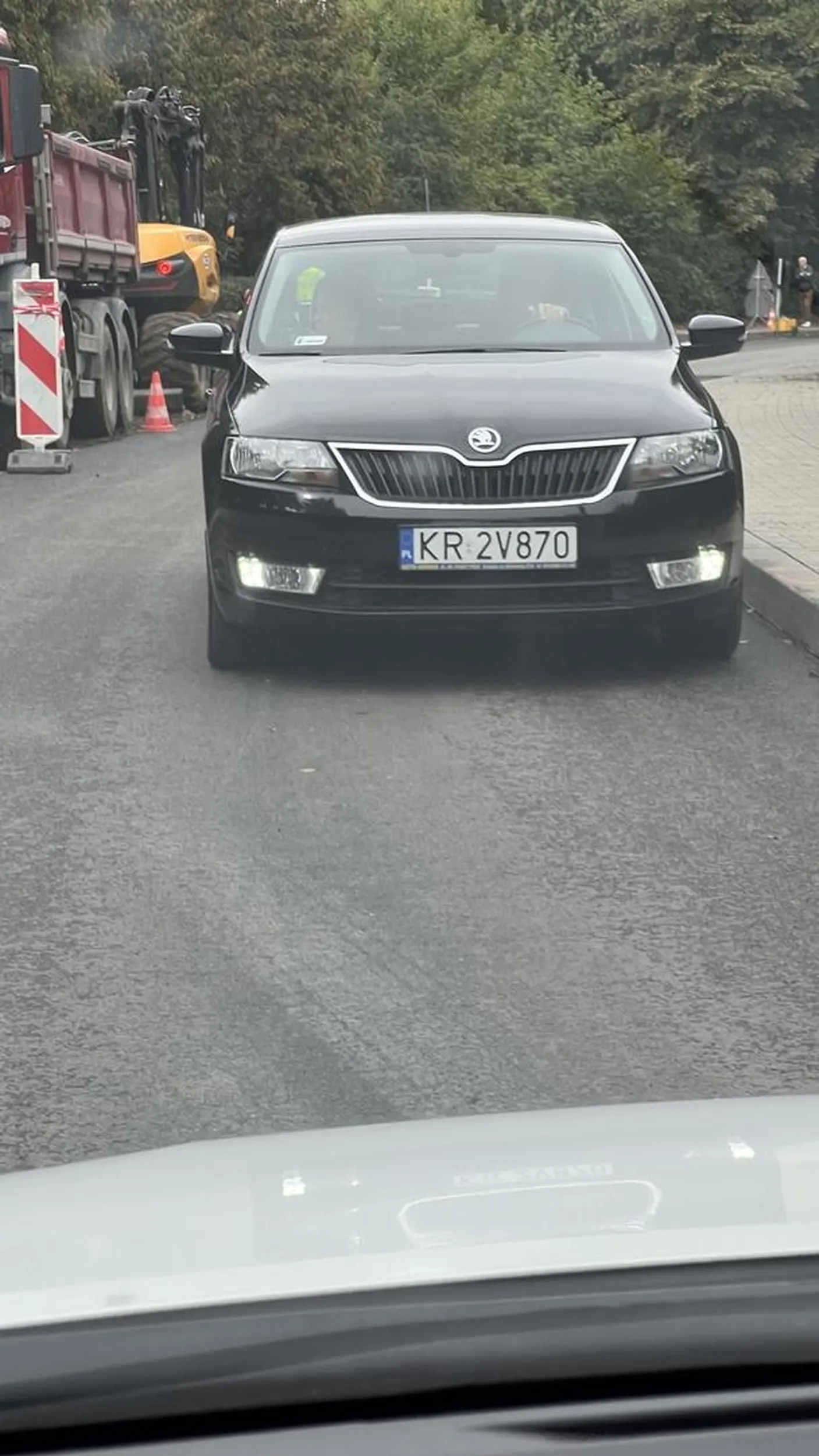 kolega ma problem z rozróżnieniem koloru świateł, na czerwonym stoimy a nie omijamy cały korek i wpierdalamy się na czołówkę.