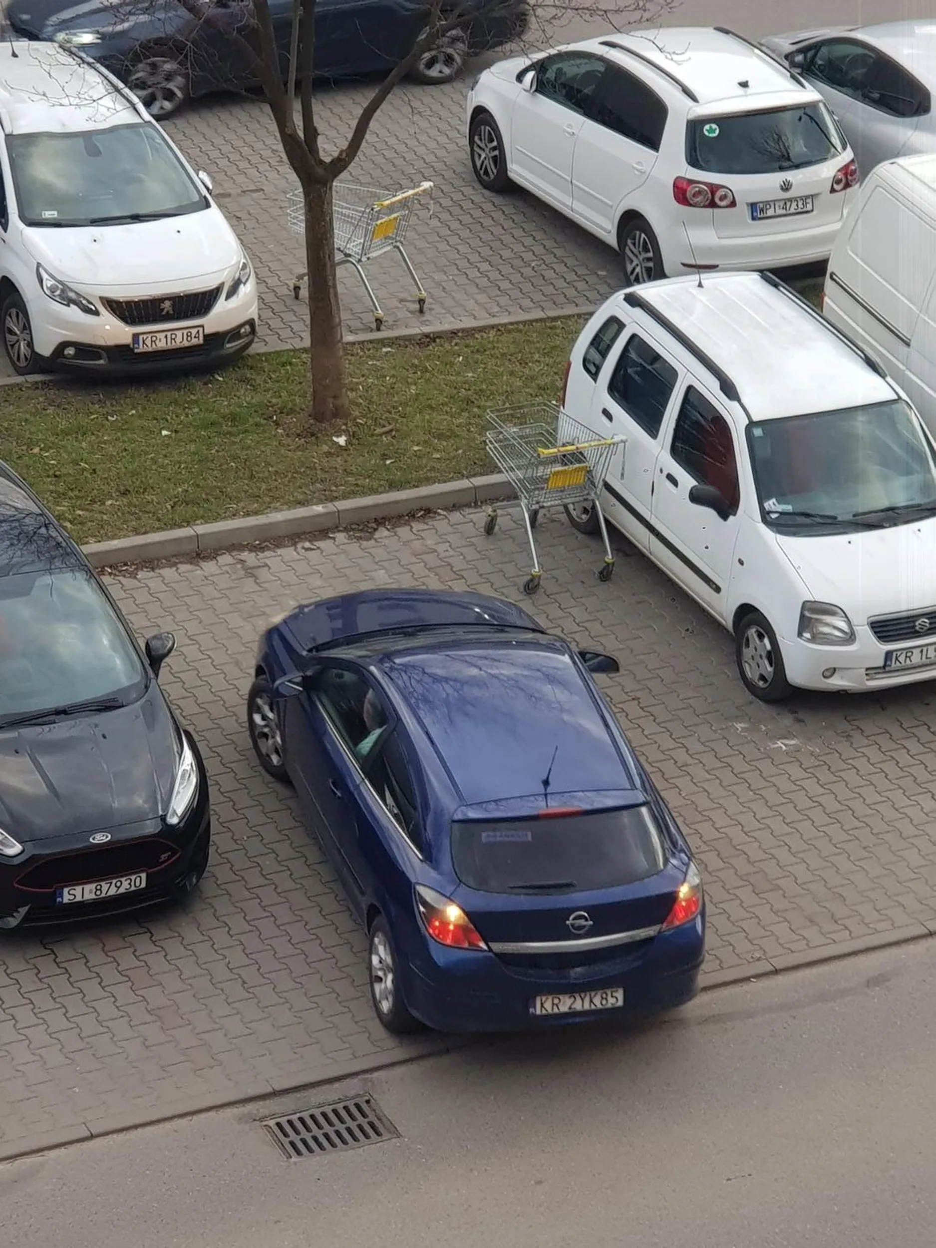 Chyba Pani zapomniała zabrać swoich śmieci z Osiedla Jagiellonskiego !! W załączonym zdjęciu kierowczyni tego kto auta jednym wózkiem zakupowym uderzyła w samochód obok A drugi wózek zostawiła po zrobionych zakupach bo po co Księżna ma odwozic w wyznaczone miejsce !! Nie trawię takich ludzi i napewno poniesiesz konsekwencje