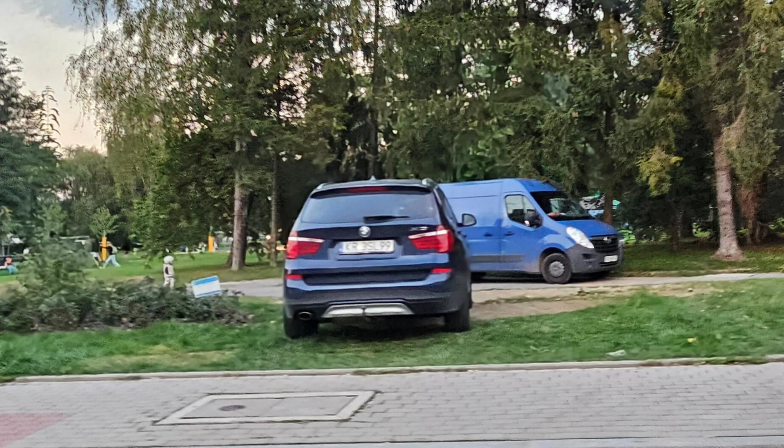 pacan wjeżdża do parku i parkuje na trawniku