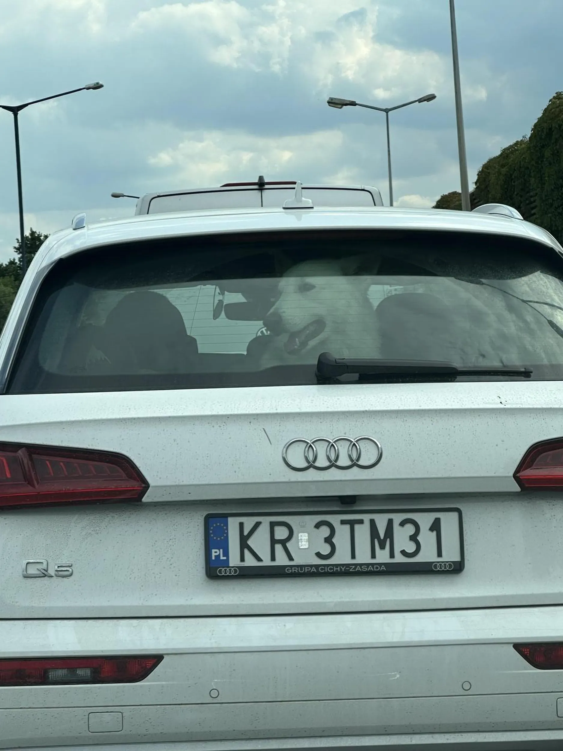 Mega słodki piesek, pozdrawiam ❤️