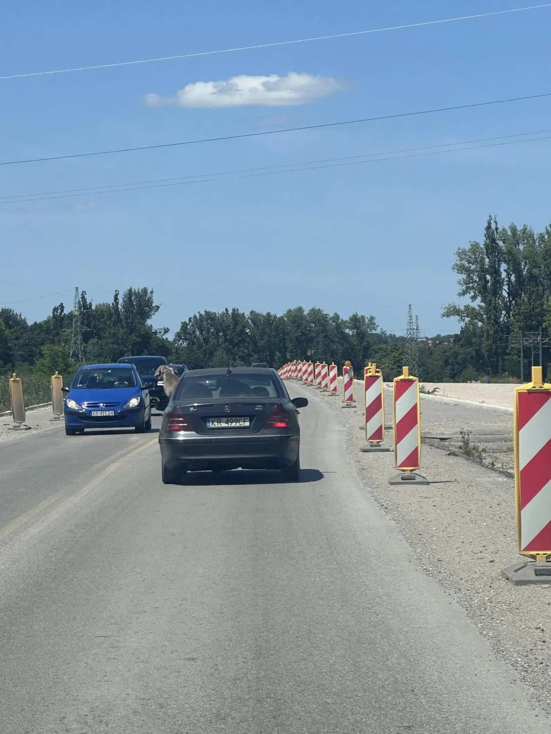 Facet przewozi nieprzypięte psy droga ekspresową, szyba otwarta tak, że pies był w stanie przez nią wyskoczyć. Na zakręcie pies prawie wypadł. Potem zatrzymał się na drodze z podwójną ciągłą pod górę.