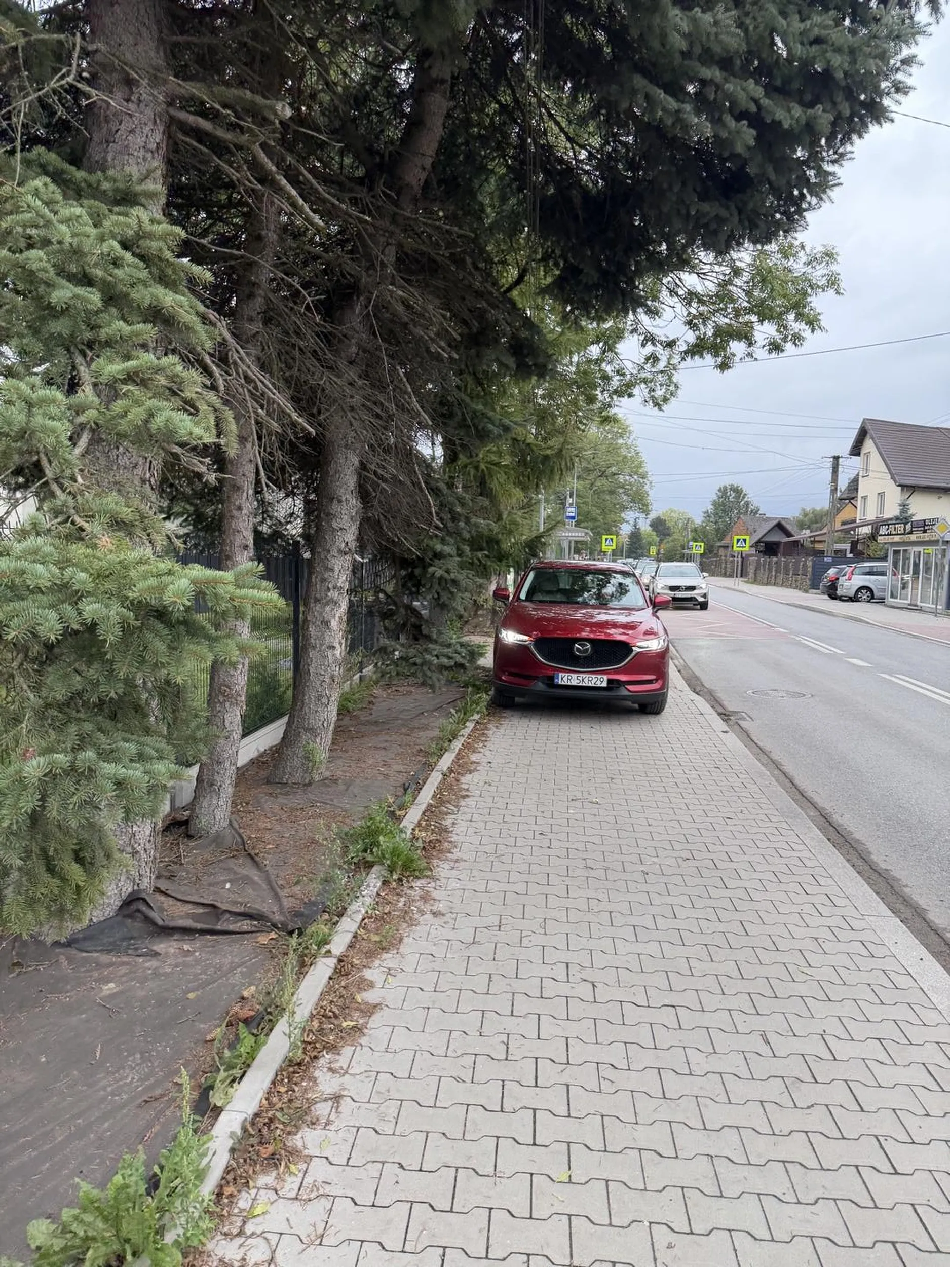 Następnym razem zdjęcie będzie na policji bo światła awaryjne nie służą do parkowania na chodniku.