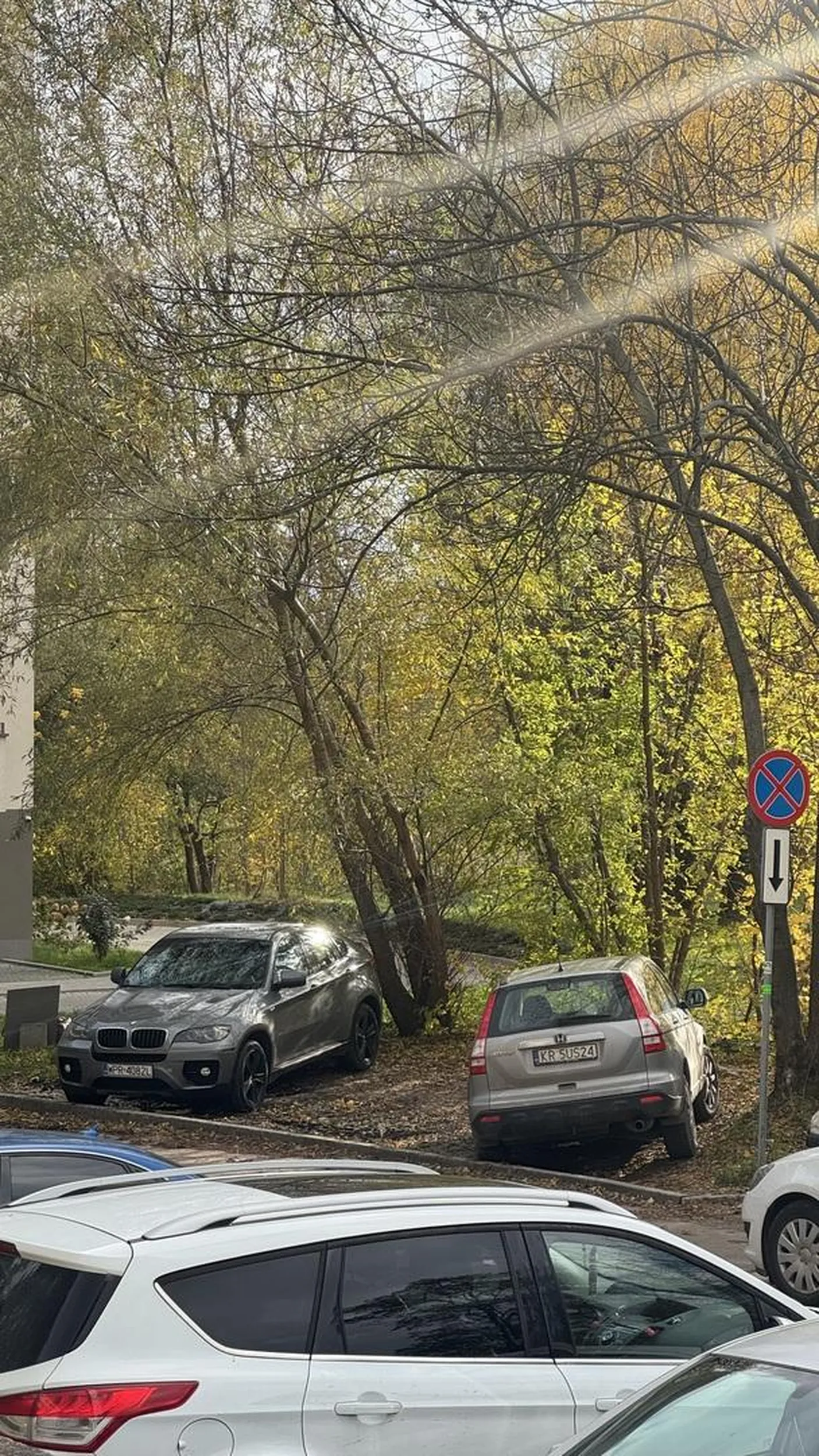 naprawdę trzeba nie mieć za grosz kultury żeby tak parkować ale rozumiem, ciągnie knura do błota.