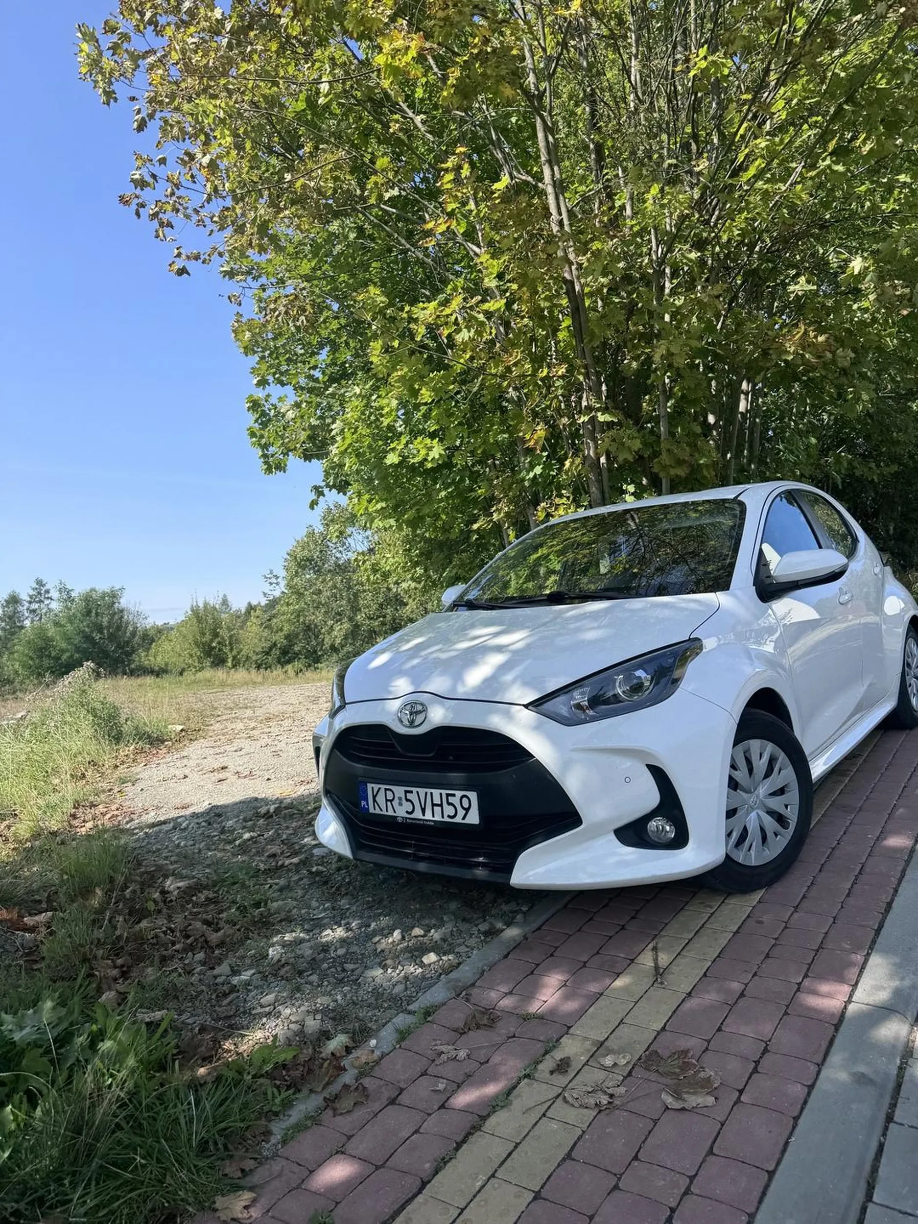 Parkowanie 10/10 mam nadzieję że mandacik będzie