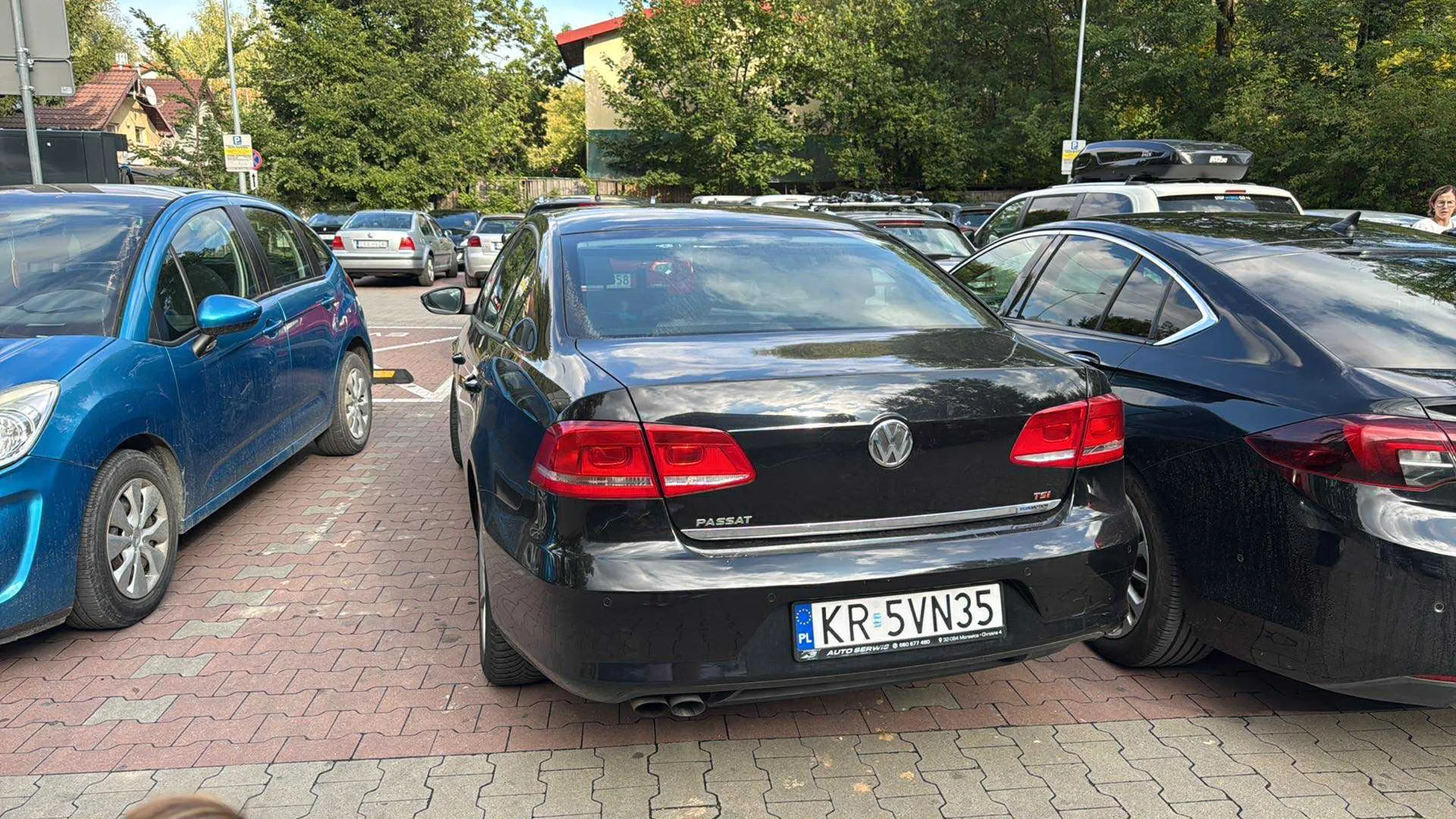 Prawo jazdy świeżo wyciągnięte z Lays