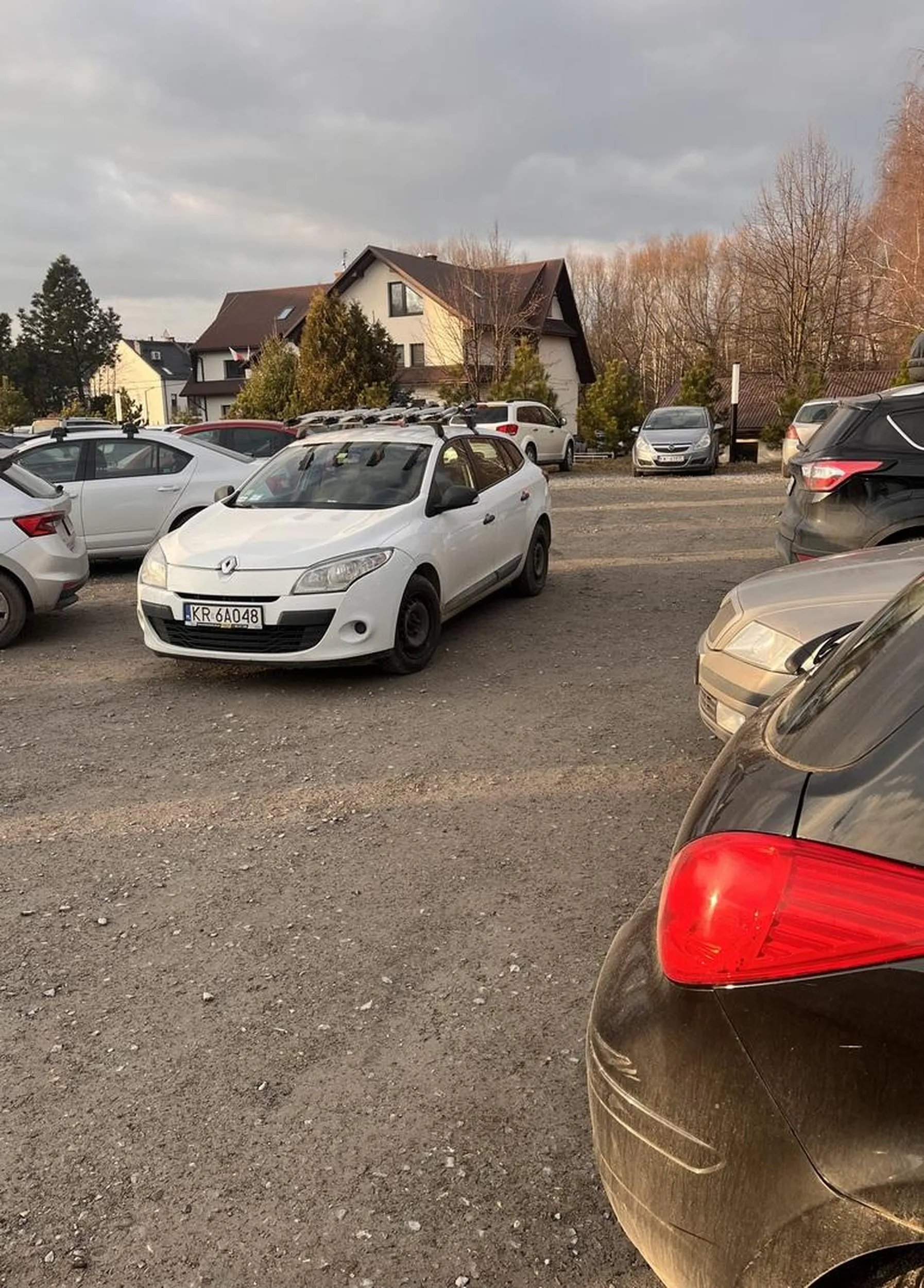 Święta krowa blokująca wyjazdu…