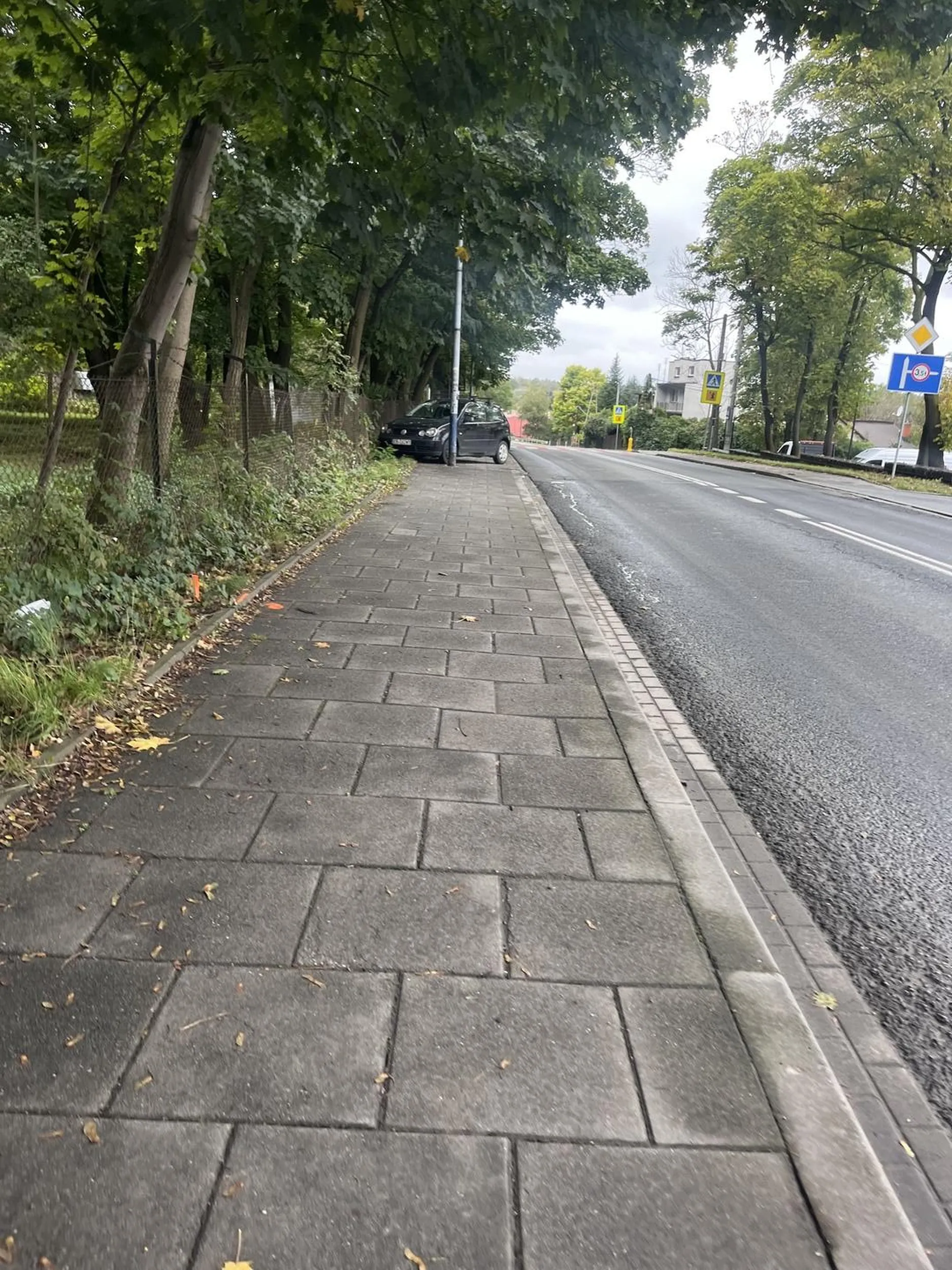 Kretyn na górze borkowskiej