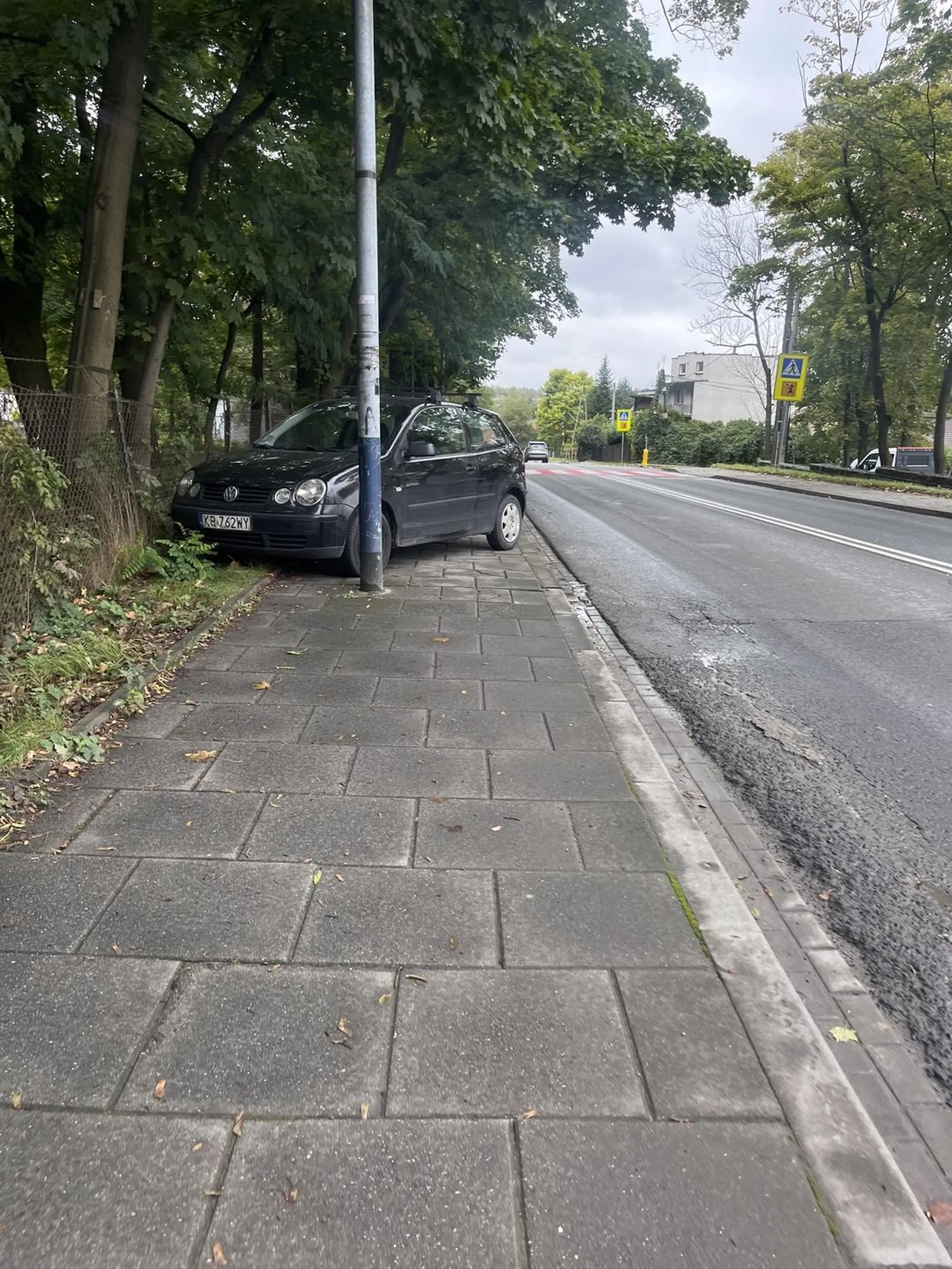 Kretyn na górze borkowskiej