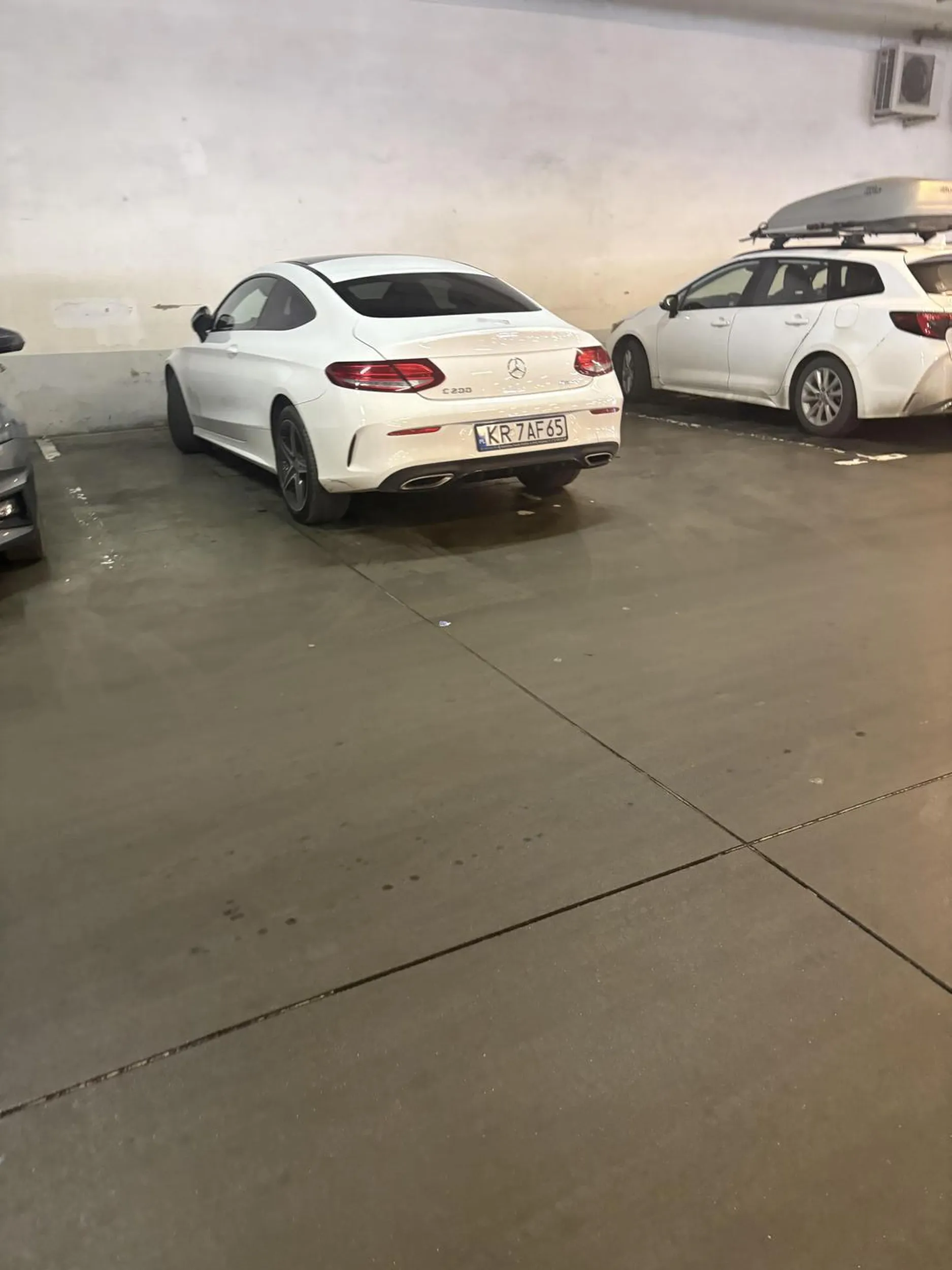 cebularzu naucz się parkować