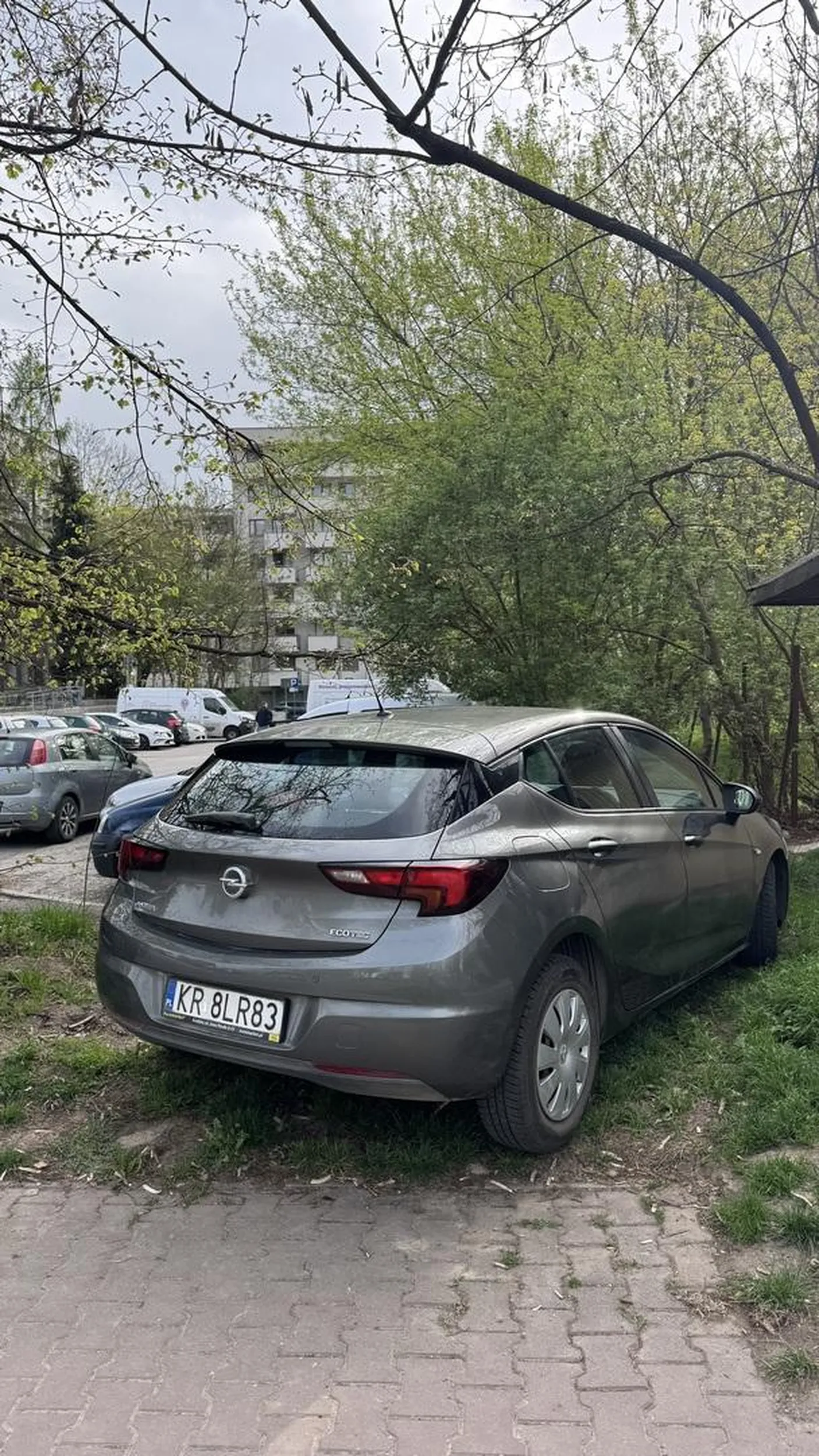 Kierowcy szkoda kilku złotych na przyszpitalny parking i zamiast tego woli niszczyć trawnik bo przecież jak nie jego – to można. Zgłoszone na straż miejską.