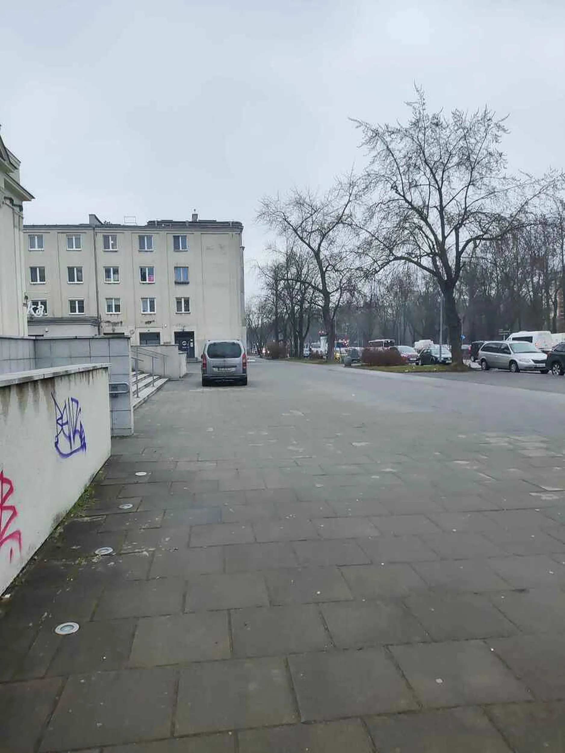 Kij, że w tym miejscu jest specjalnie wyznaczone miejsce na dostawy... Jazda wzdłuż chodnika + po przejściu dla pieszych