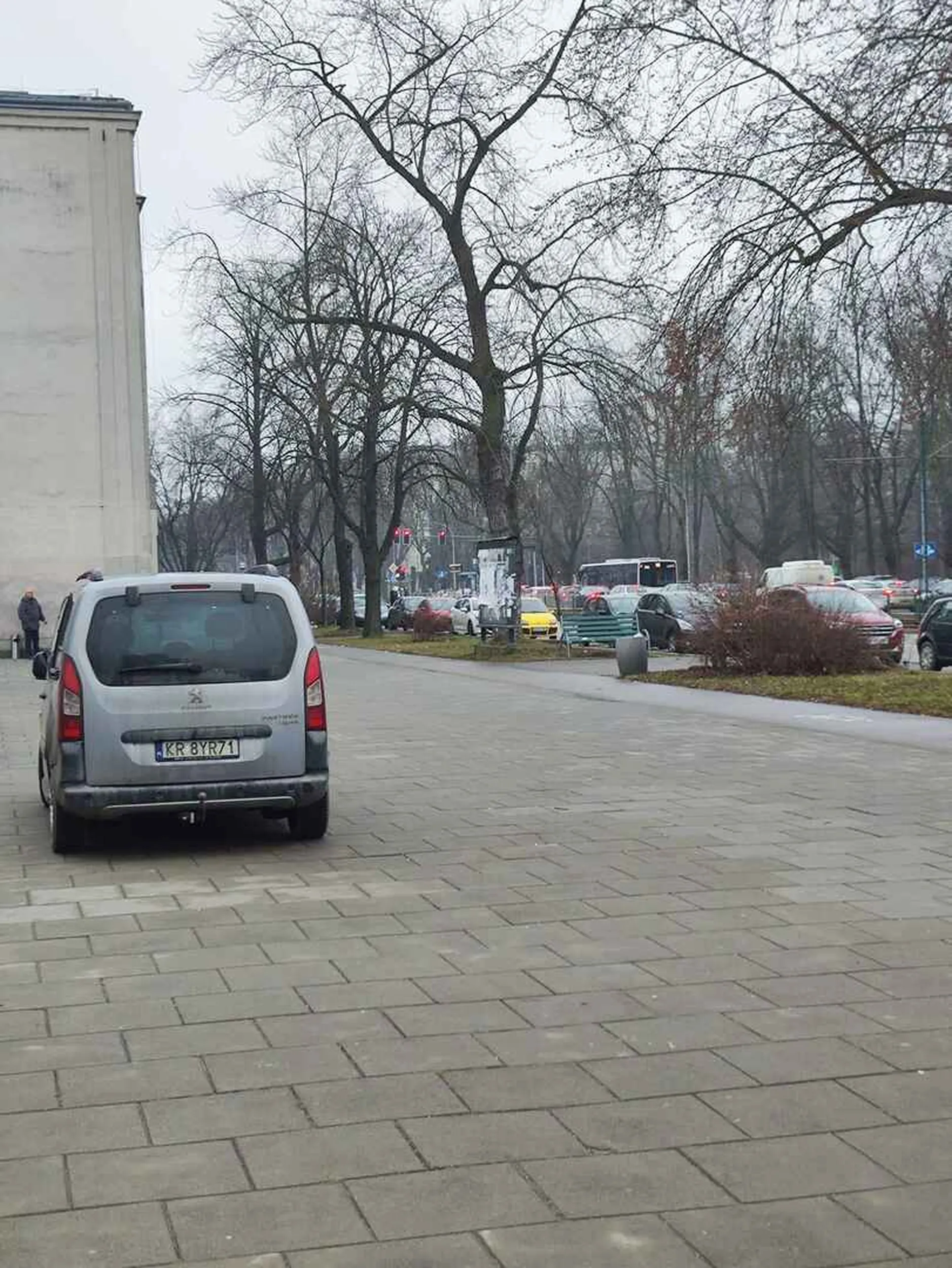 Kij, że w tym miejscu jest specjalnie wyznaczone miejsce na dostawy... Jazda wzdłuż chodnika + po przejściu dla pieszych