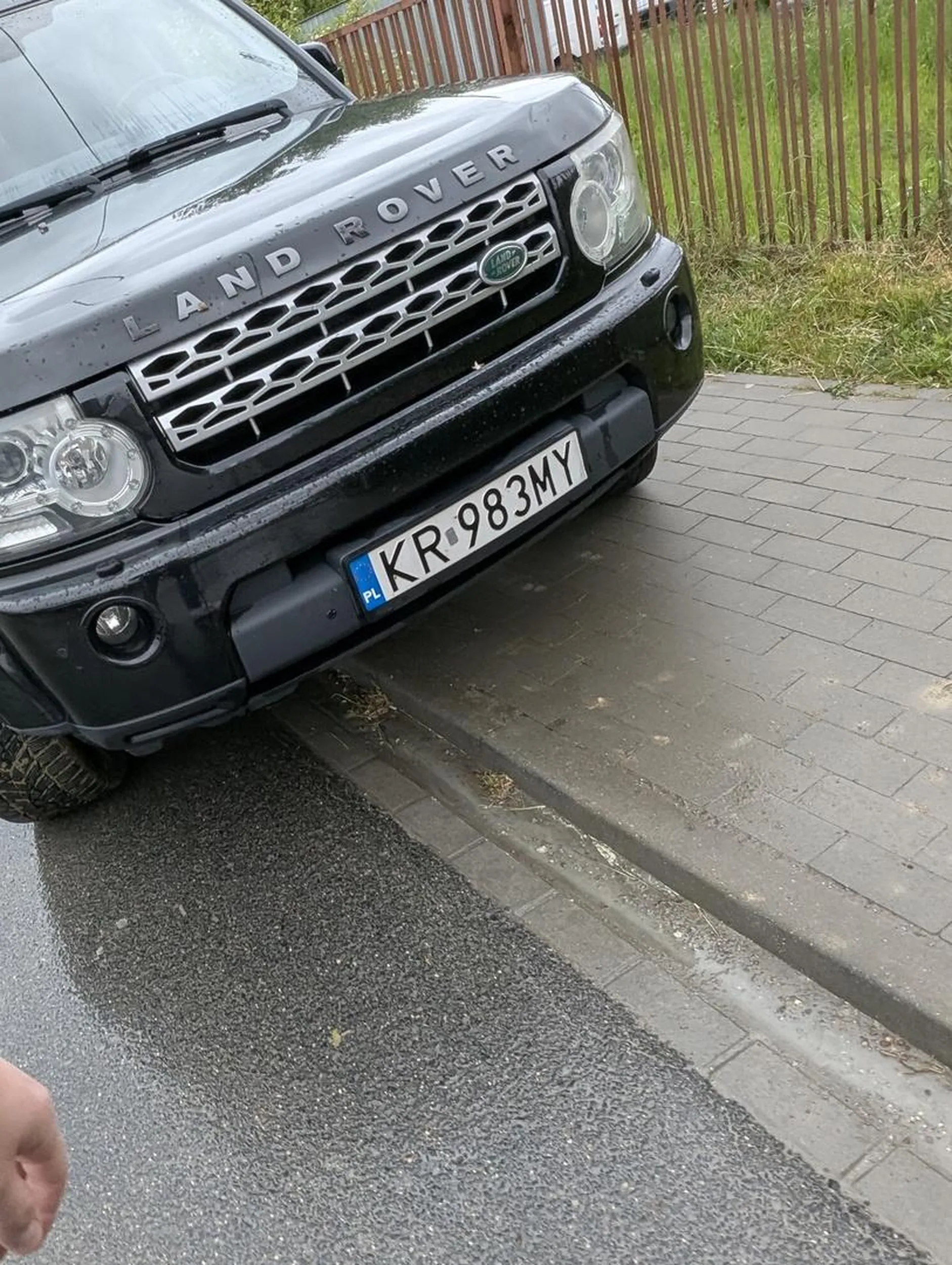 pajac co ma w dupie pieszych