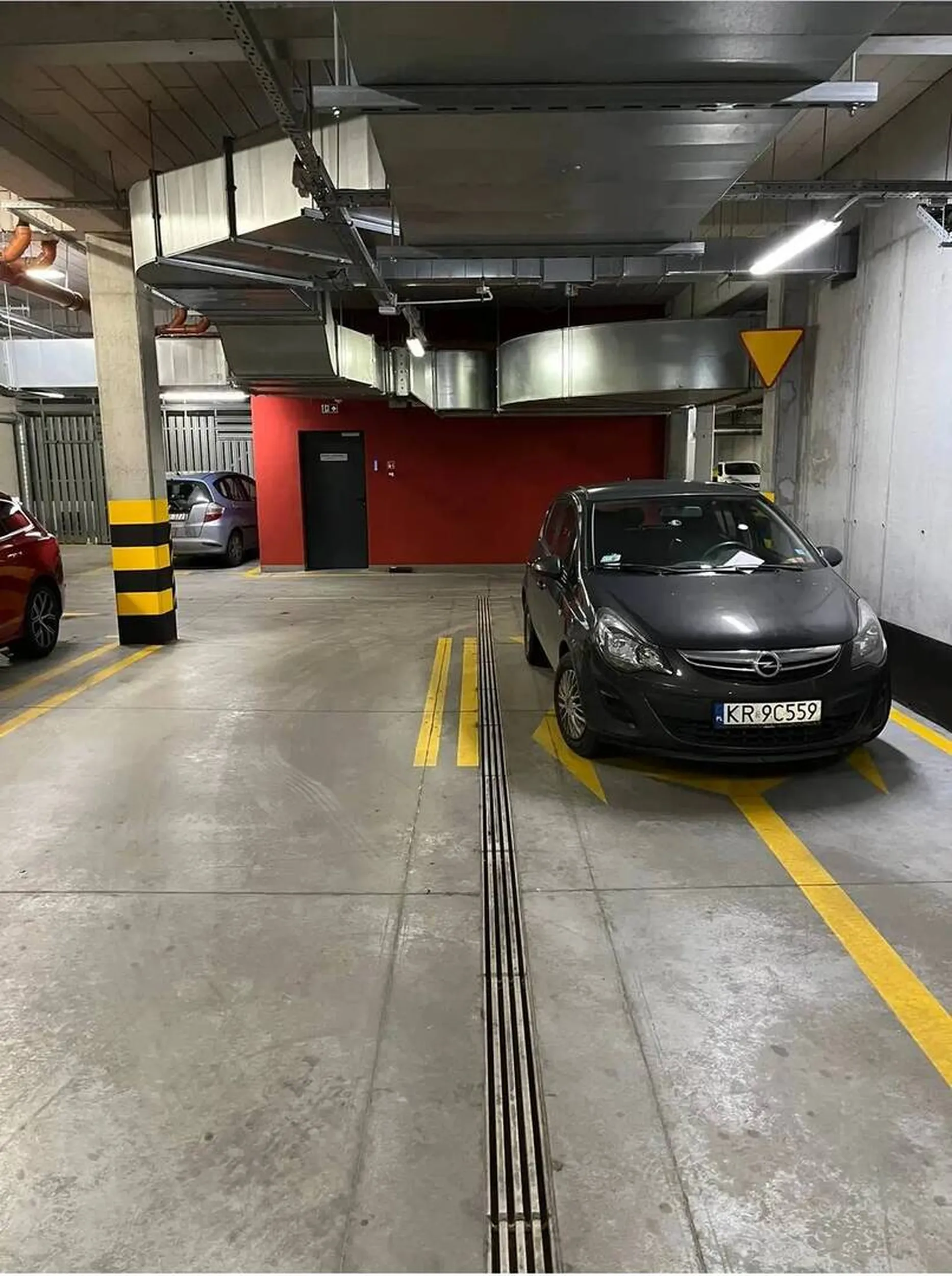 Parkuje gdzie popadnie.