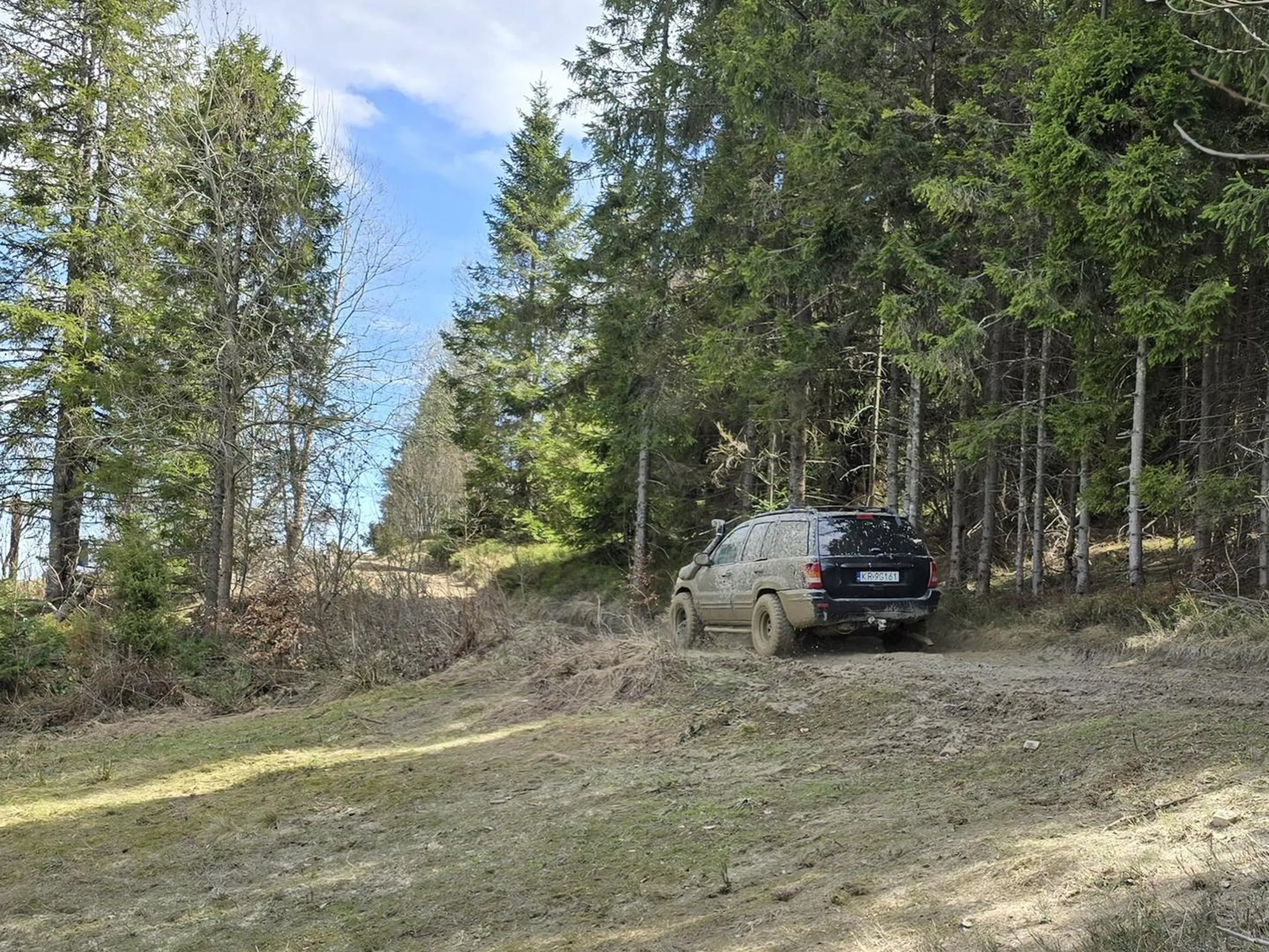 Parias robi sobie offroad na leśnych drogach.