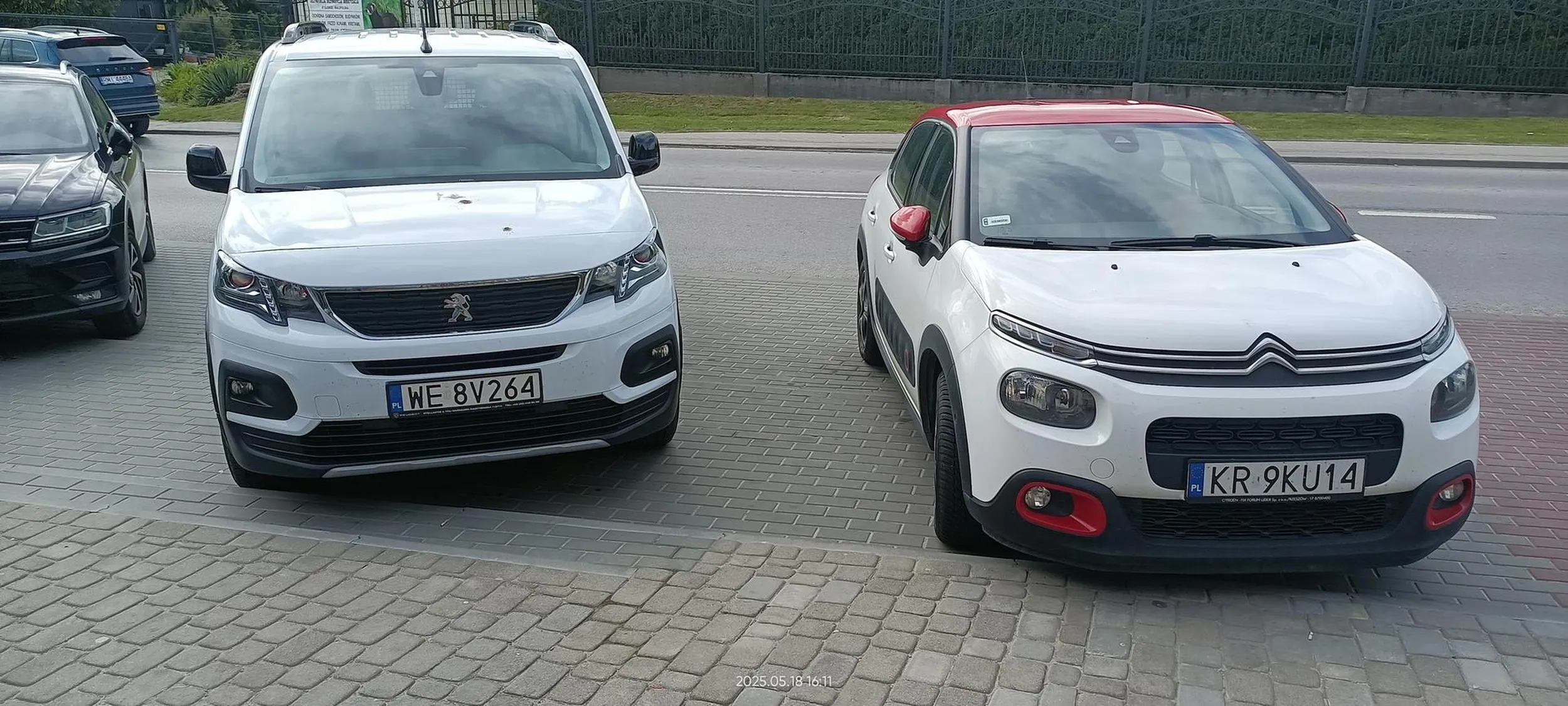 Święta krowa chodnikowa.