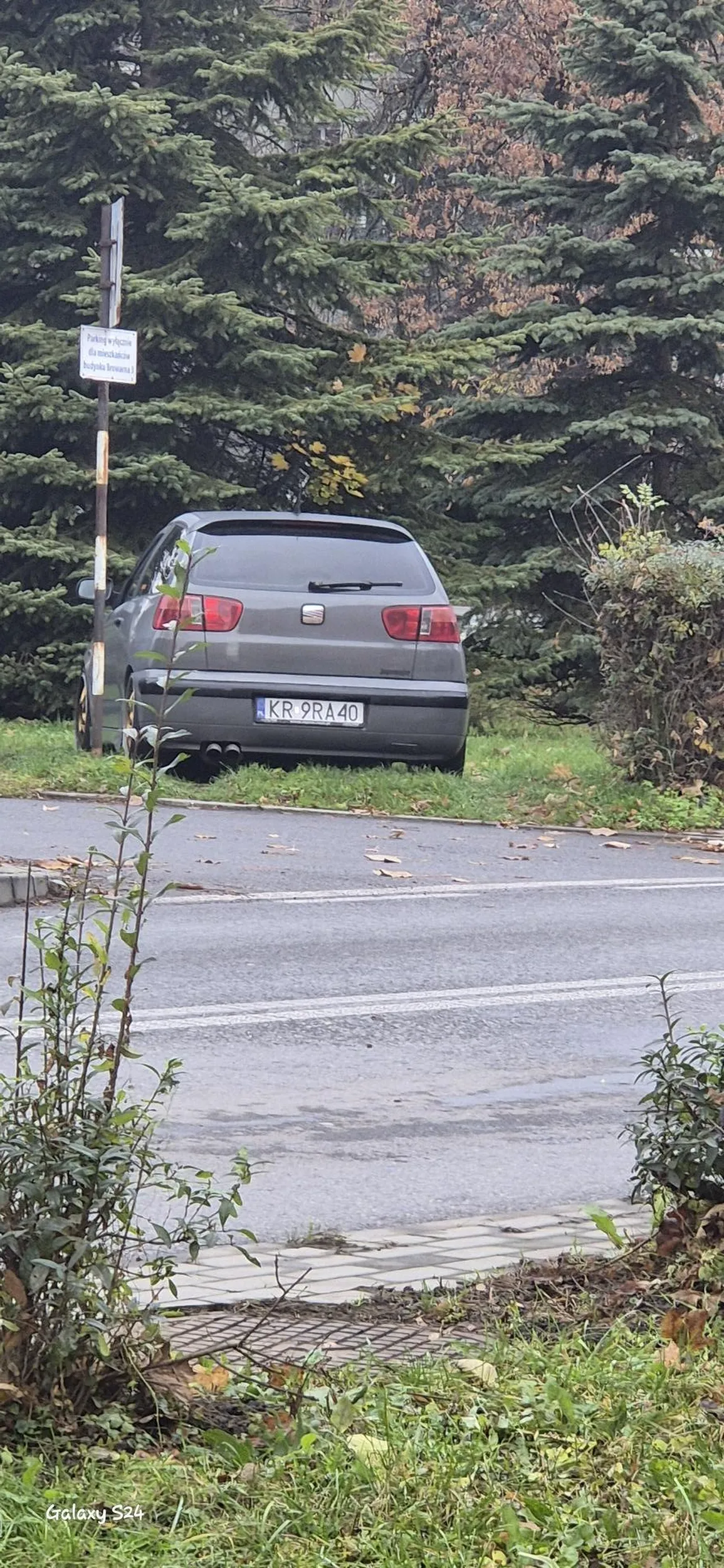 Parkuję na trawniku