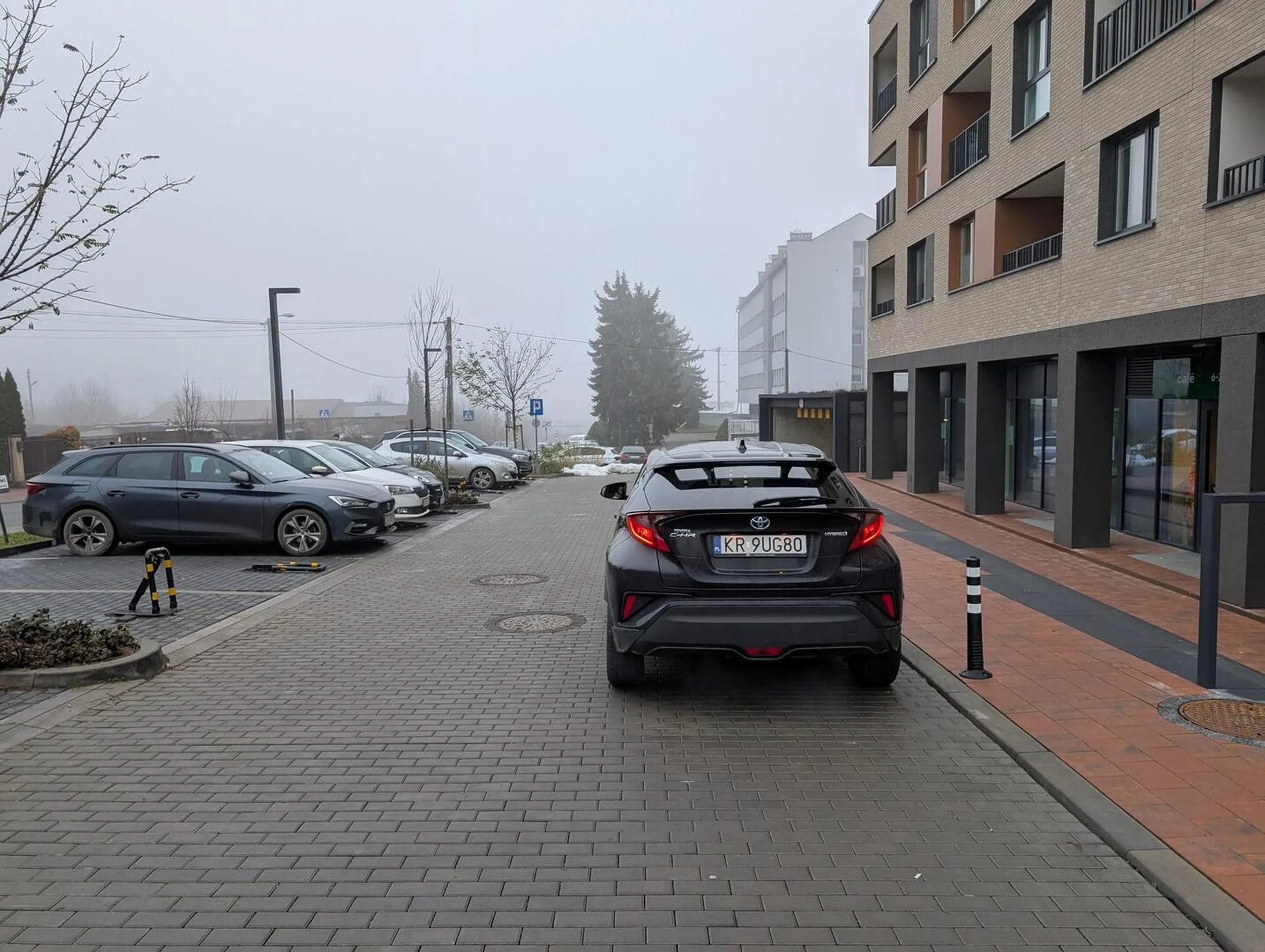 Święte krowy są wszędzie ? Stoi na środku drogi, na włączonym silniku, utrudnia wjazd do parkingu podziemnego oraz parkowanie na parkingu obok. Po zwróceniu uwagi typowo - "a gdzie mam zaparkować?". ?? A co to innych interesuje? Twój samochód, twój przywilej, twój problem. Jak nie jesteś rozgarnięty to lepiej się przespaceruj do żabki zamiast wozić dupę ?