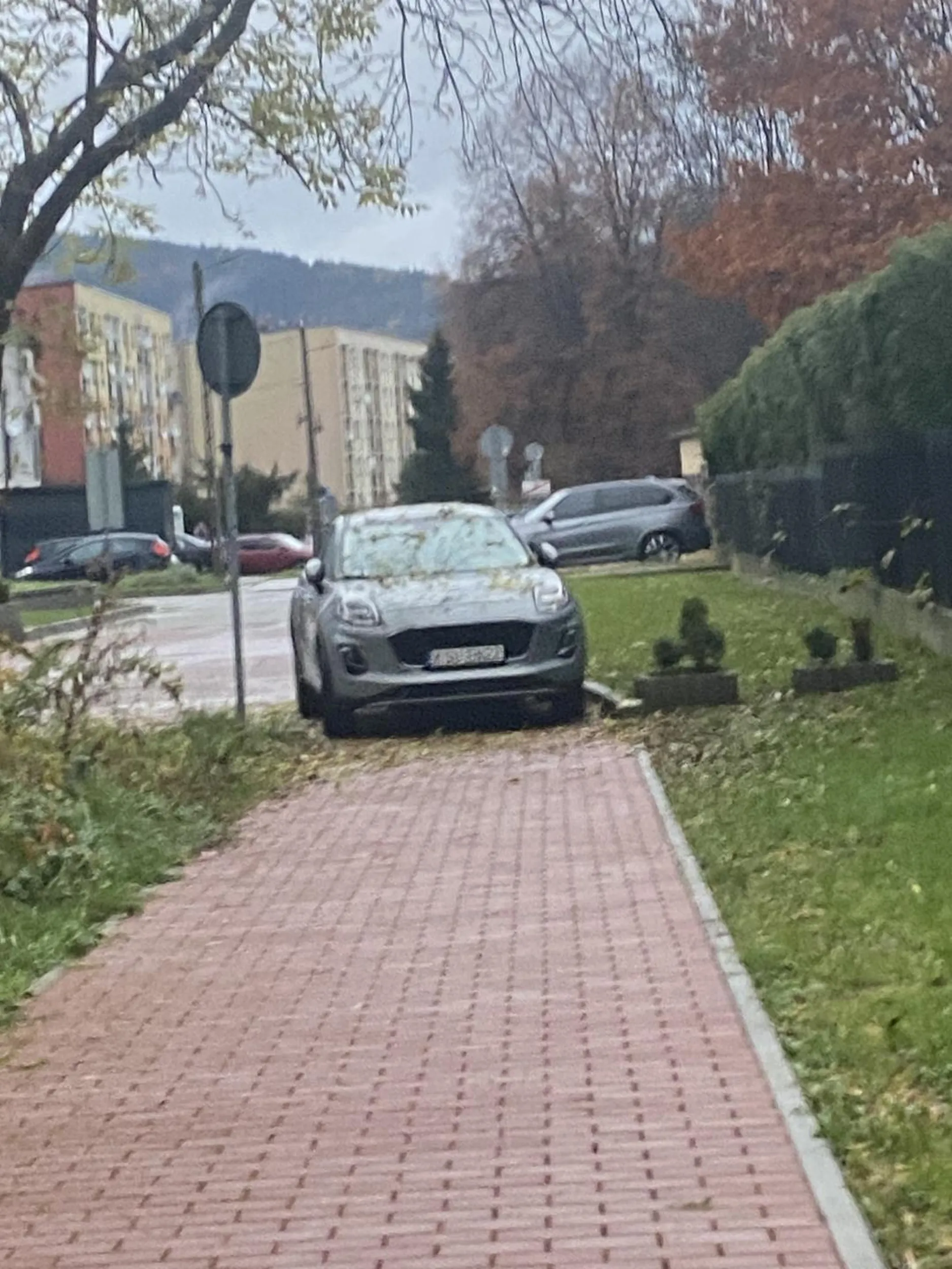 Pięknie… Cudownie