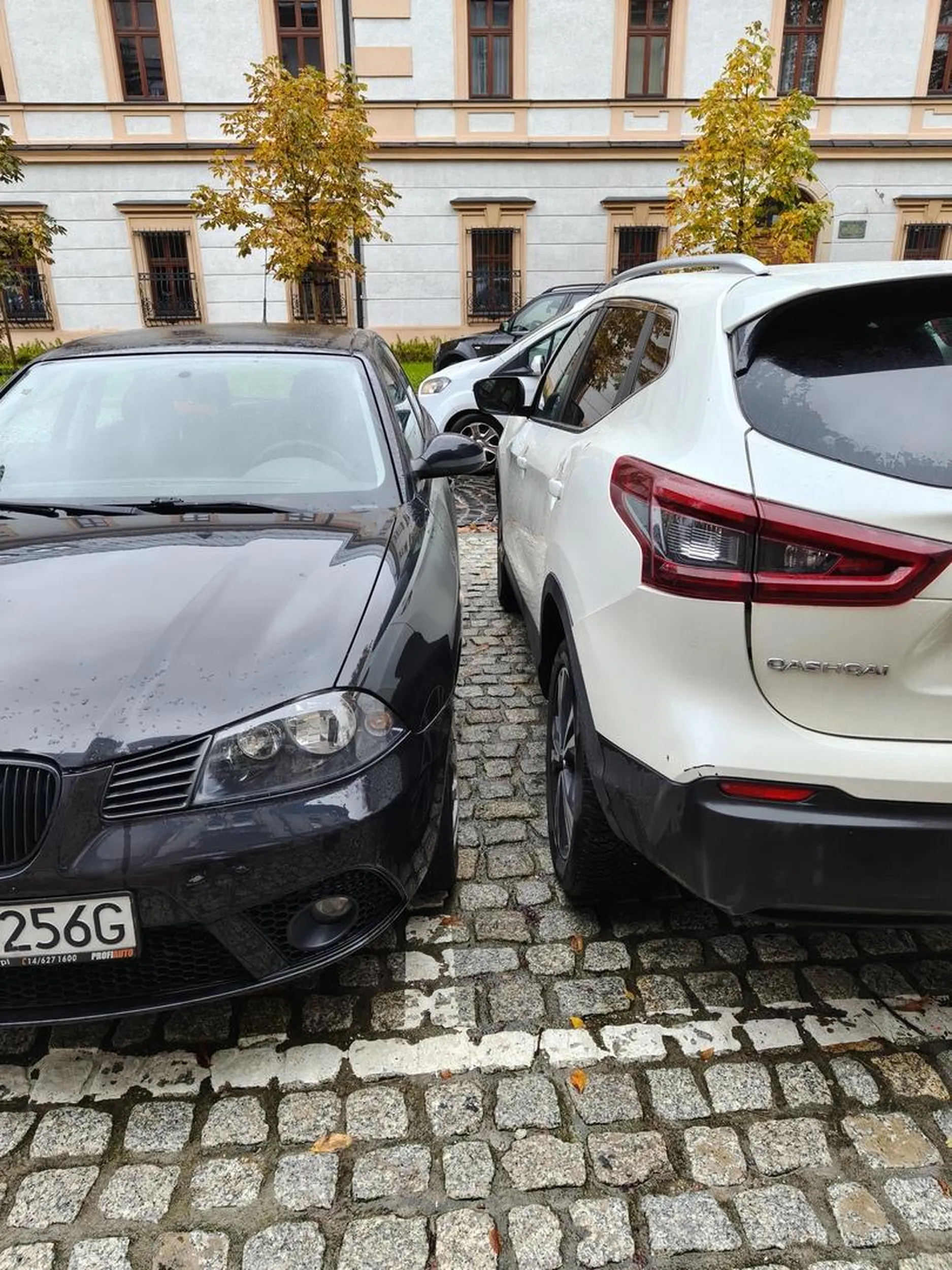 Oferma z czarnego seata powinien dostać dożywotni zakaz parkowania