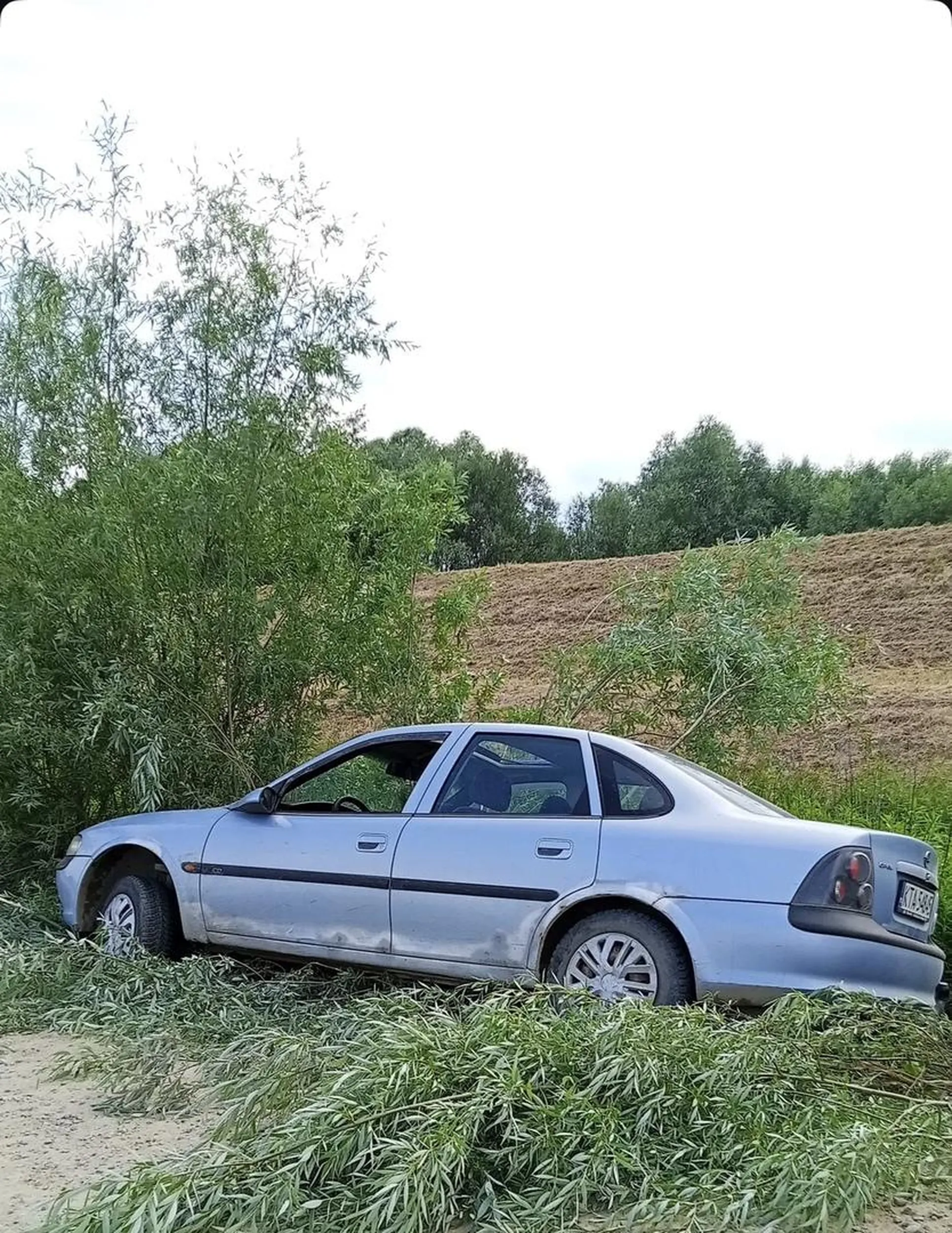 Tak się kończy kiedy jeździ się bez prawa jazdy
