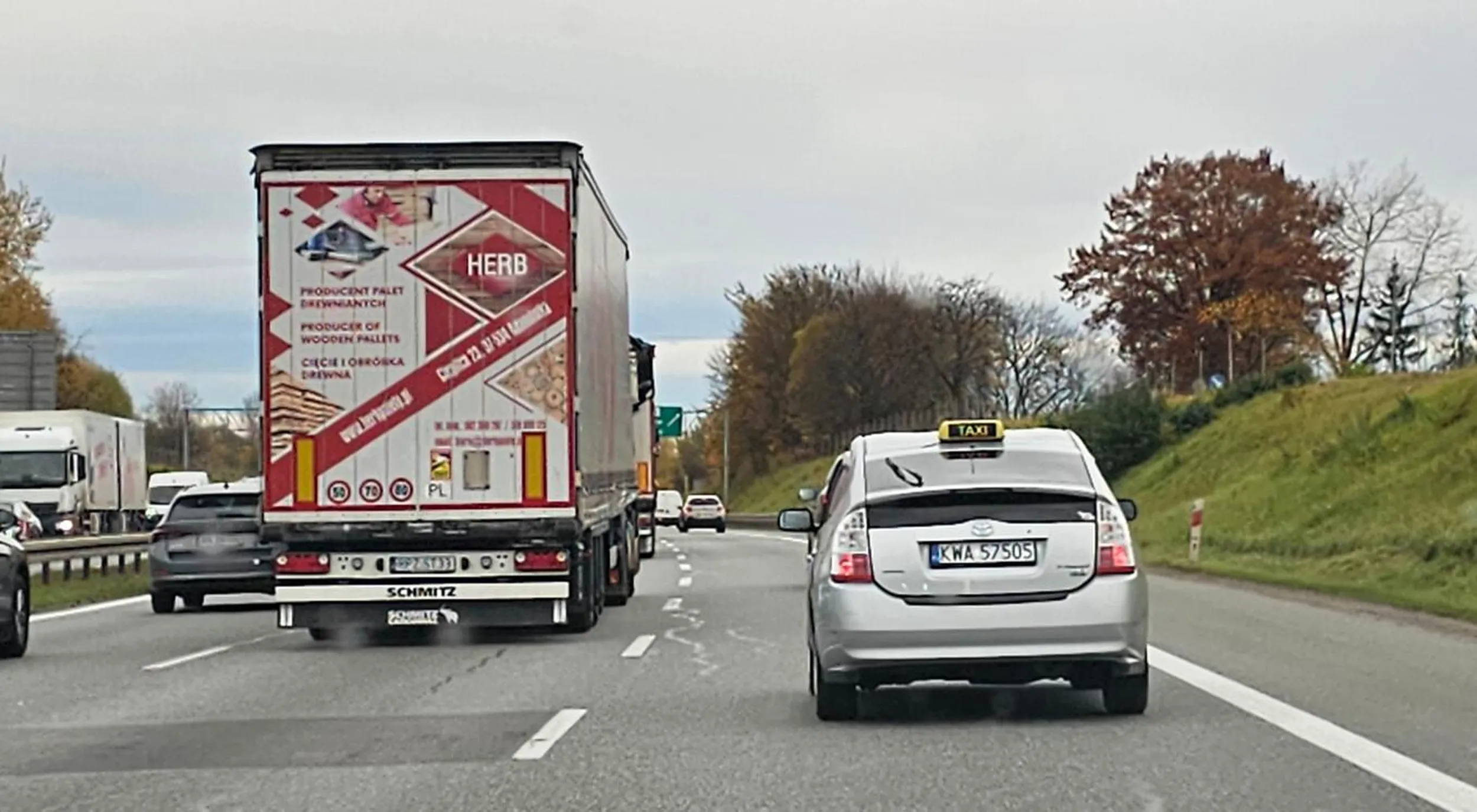 królewicz zakochany w lewym pasie