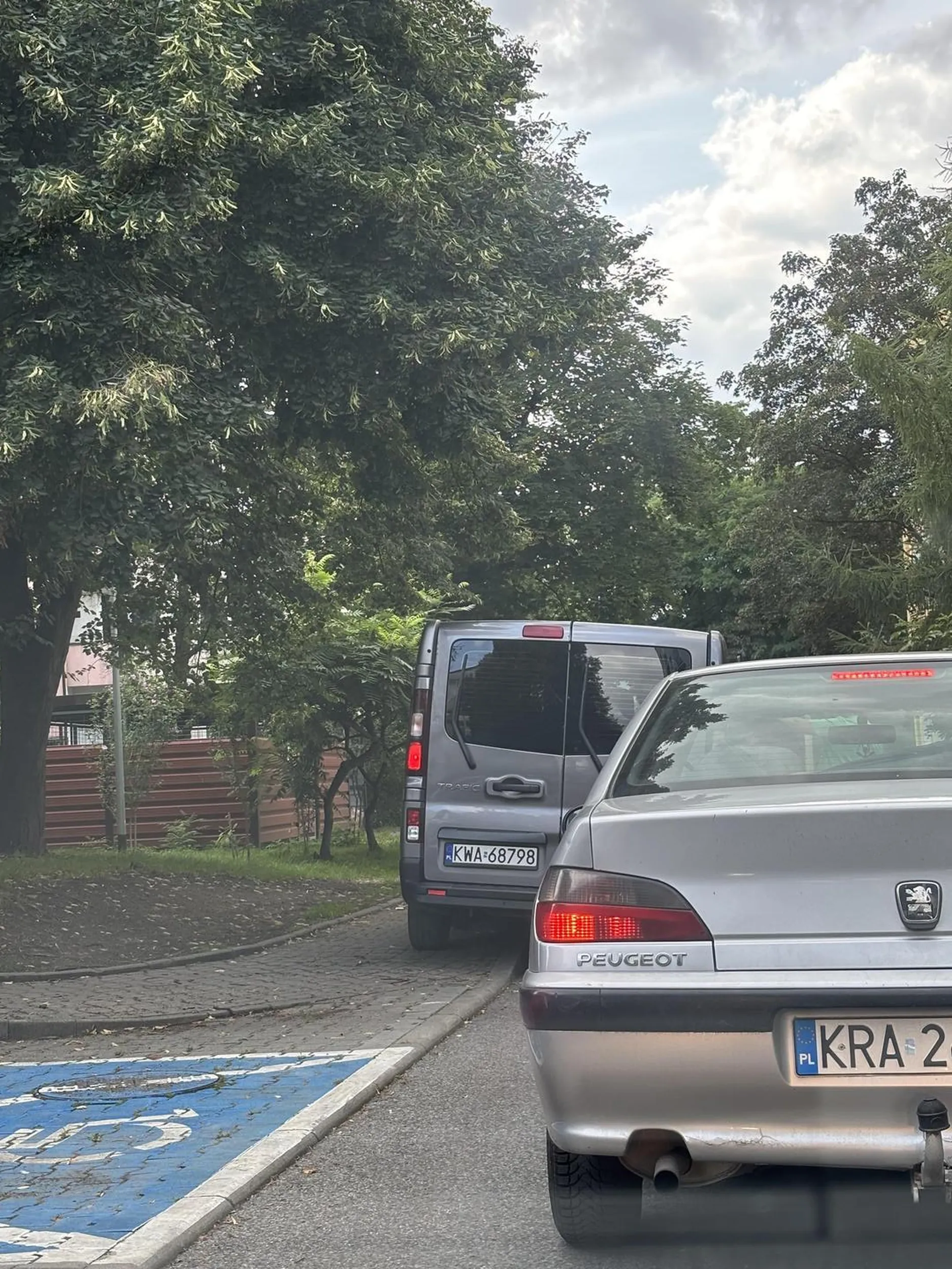 Kierowca w trafiku stanął na środku drogi jak jakiś osioł blokując przejazd innym użytkownikom ruchu drogowego