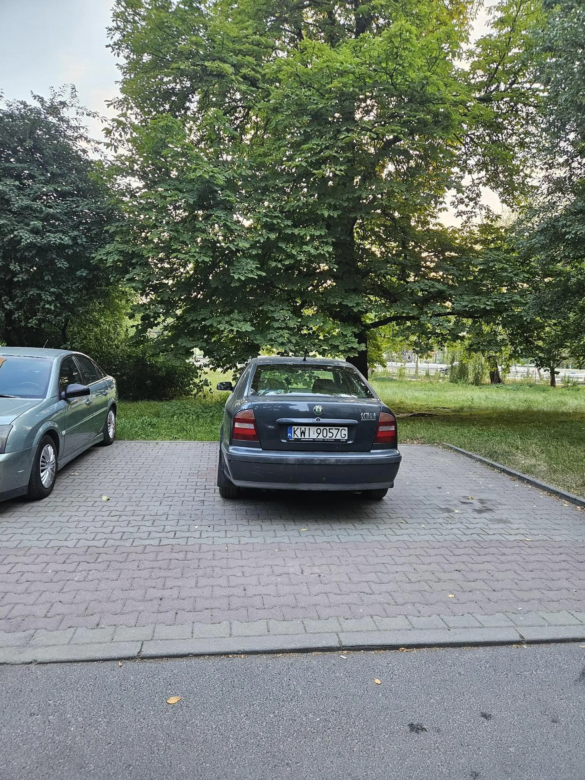 Blokuje miejsca parkingowe