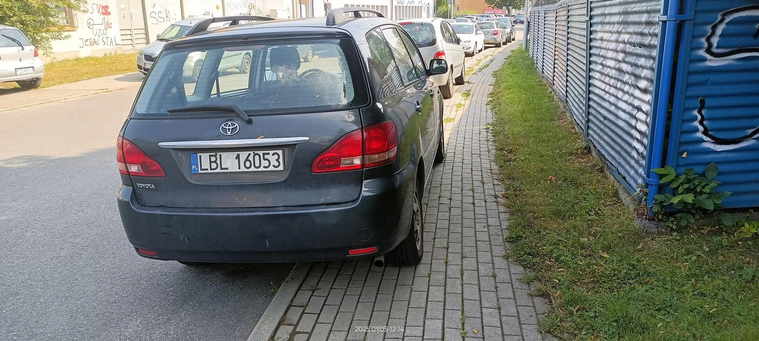 Święta krowa chodnikowa