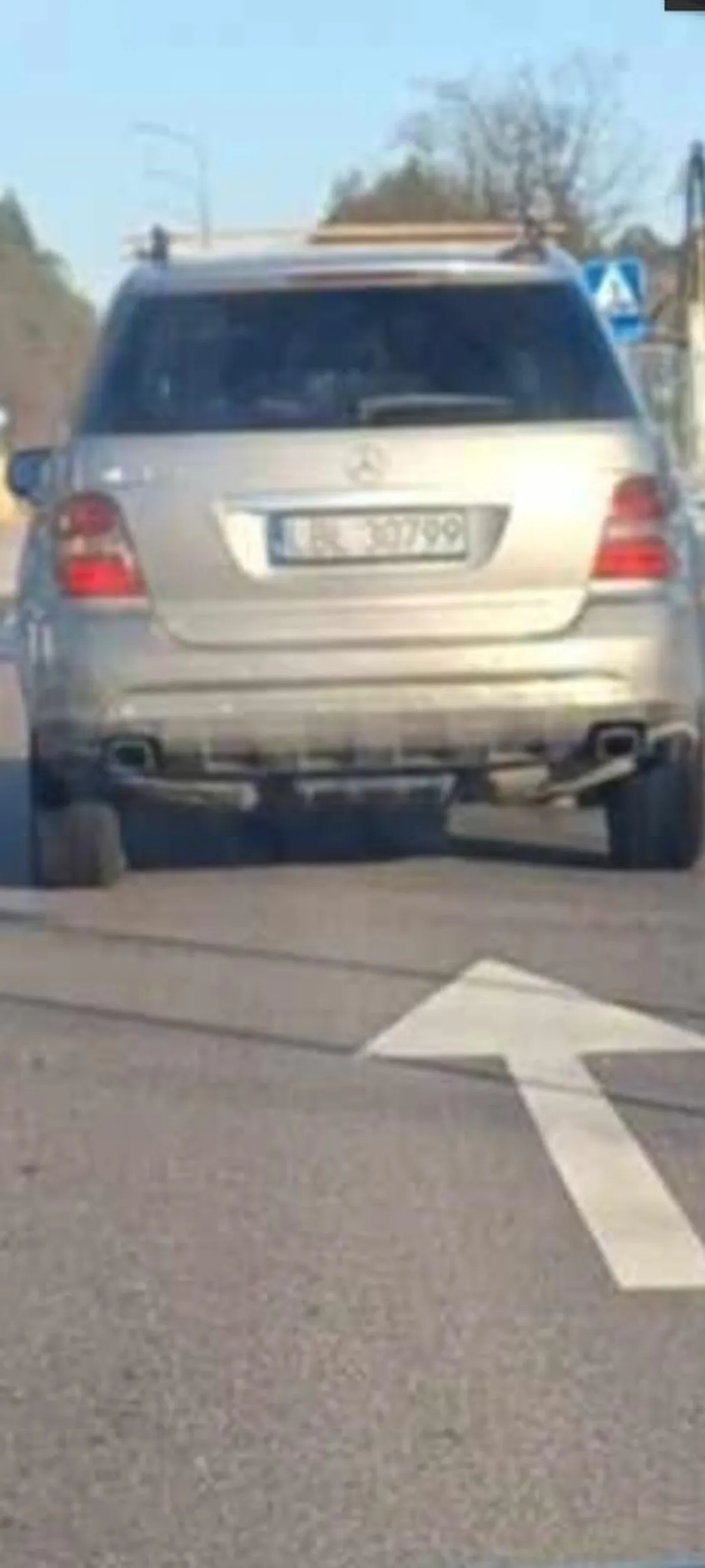 Śmieć wyrzucił psa z auta!!! Po zwroceniu uwagi odpowiada że jest niepotrzebny!!!!