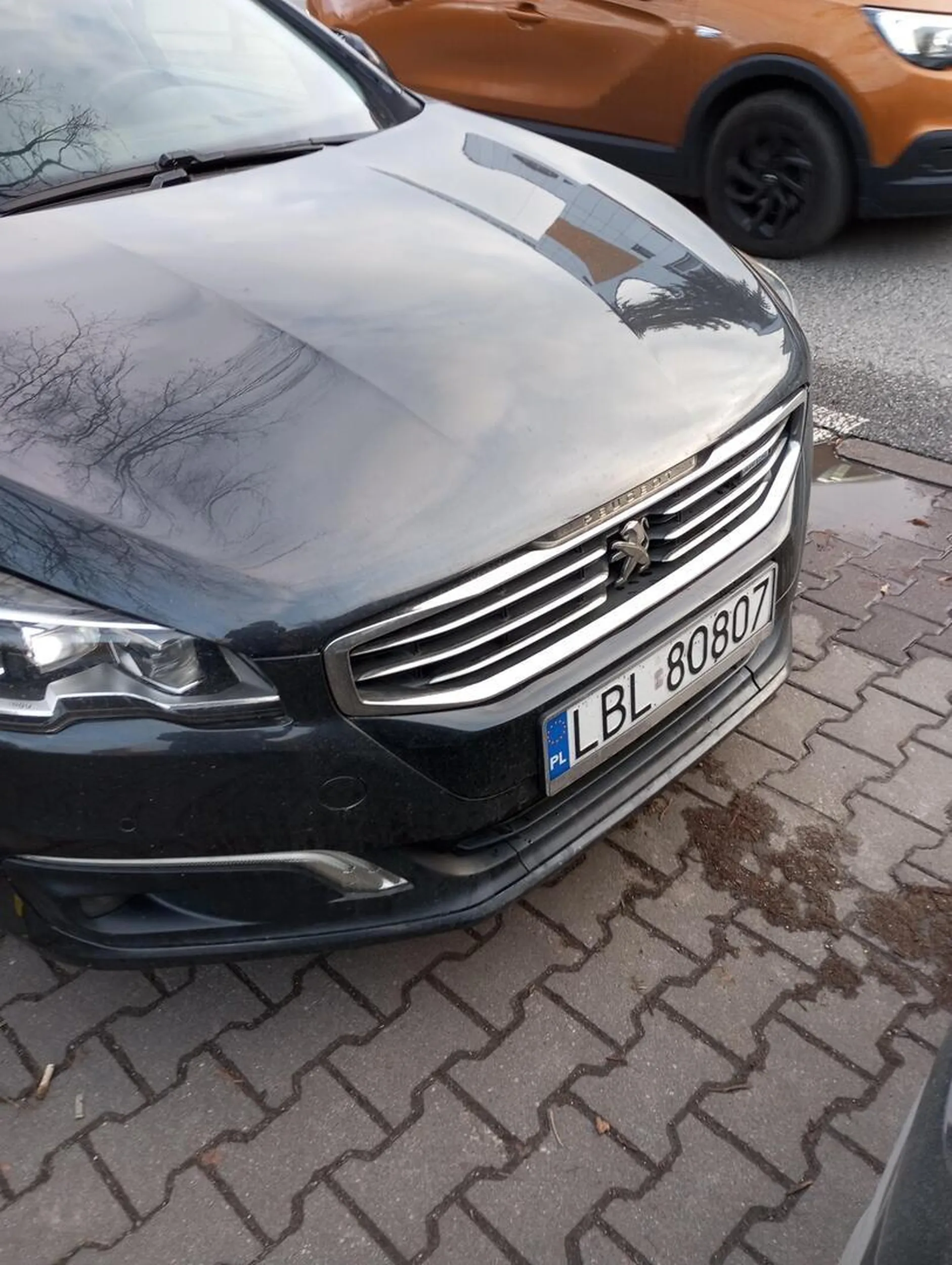 Uważajcie na tę patologię z czarnego peugeota. Nigdy nie wiadomo kiedy na środku drogi stanie, zacznie tamować ruch i zacznie cofać prosto na was. Prawo jazdy znalezione w chipsach. A potem na ulicy bezczelnie się śmieje i jest z siebie dumny. Urodzony niedogolony morderca drogowy. Omijajcie z daleka.