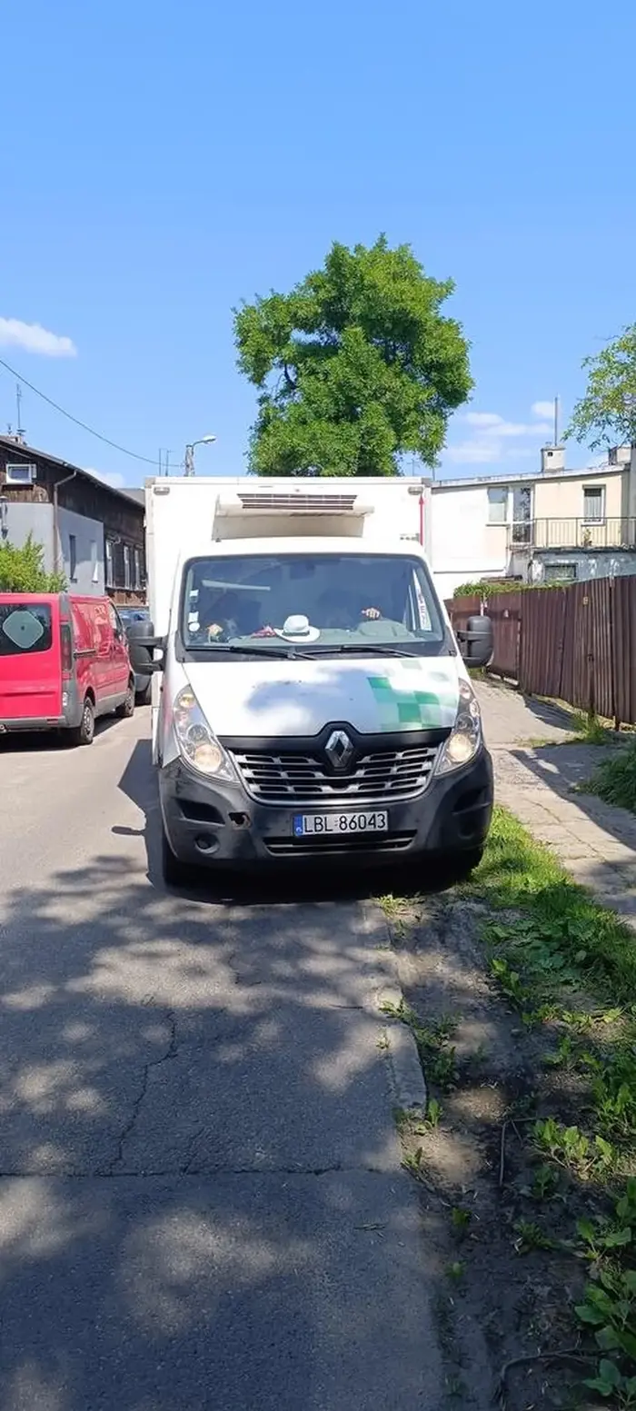 Kierowca niby zawodowy codziennie tym "malutkim" samochodem z premedytacją wjeżdża pod prąd w ulicę jednokierunkową. Młody gówniarz jeszcze pyskuje i z wielkimi pretensjami wycofuje