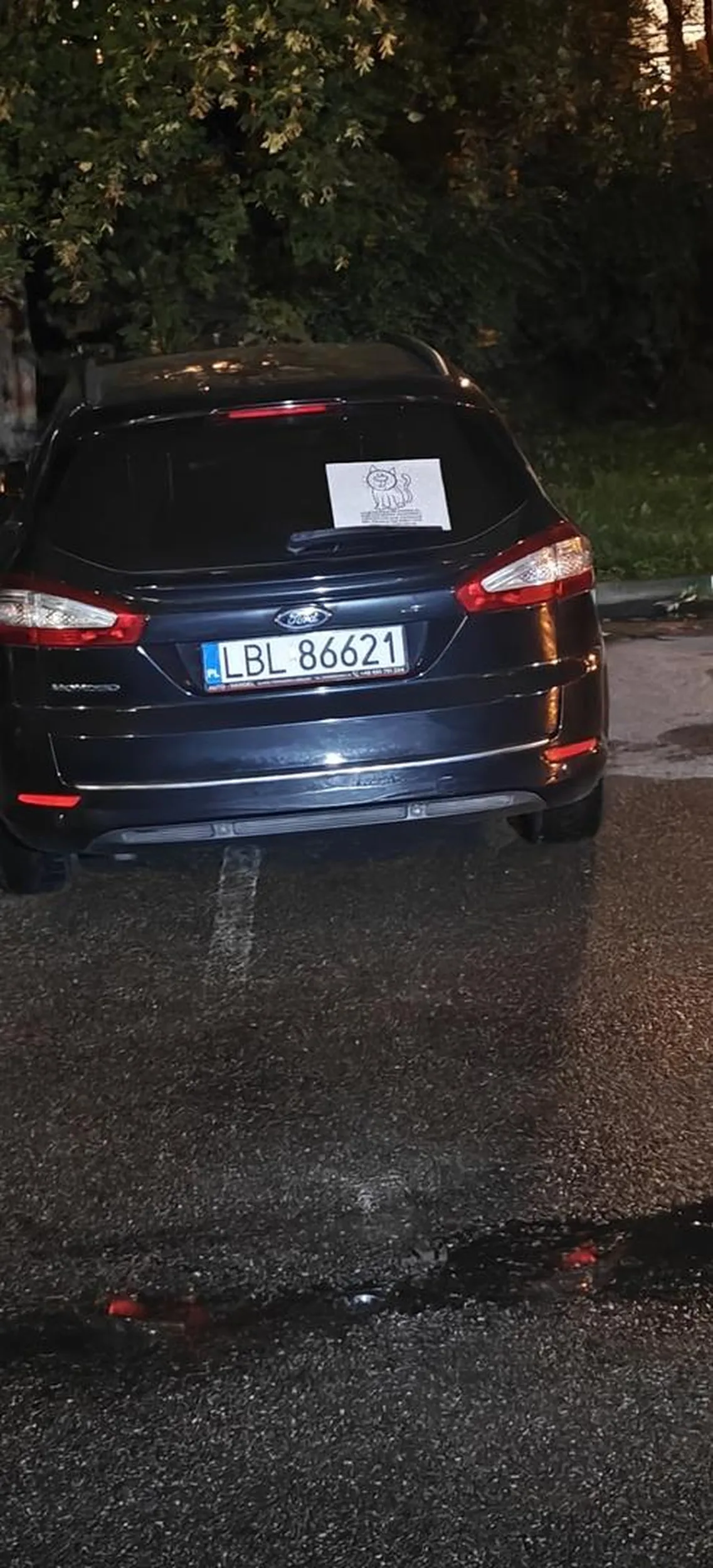 Nie potrafi parkować