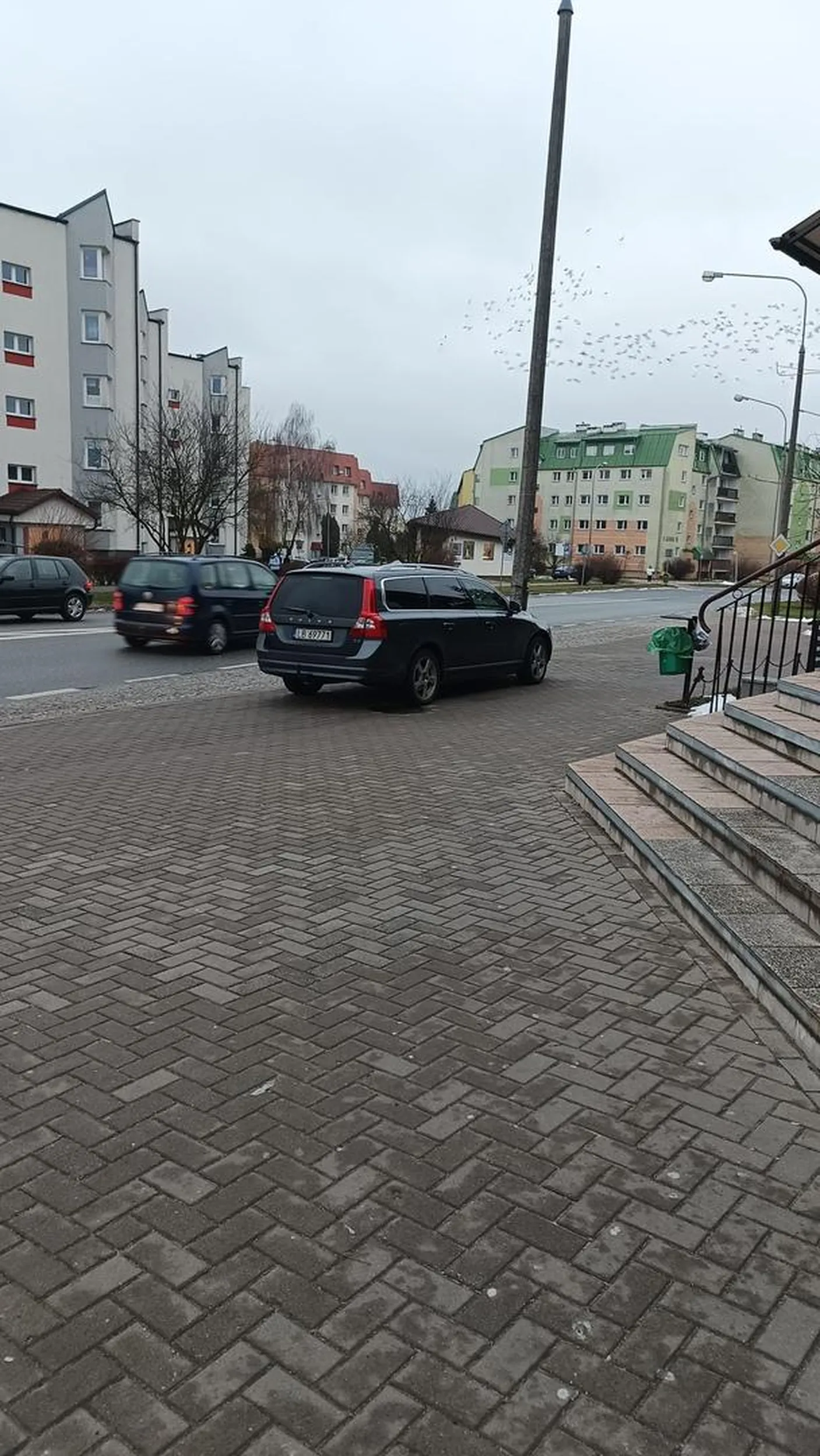 Pasożyt jeżdżący po chodniku