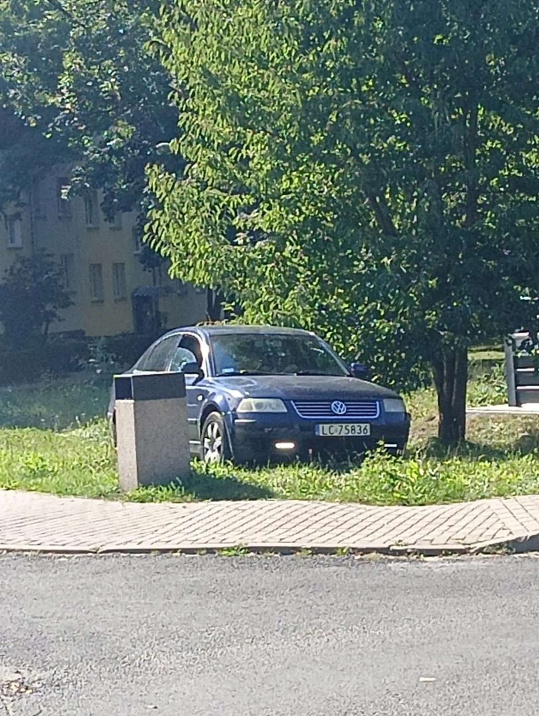 Nigdzie w prawie nie widziałem że nowa ulica to trawa?