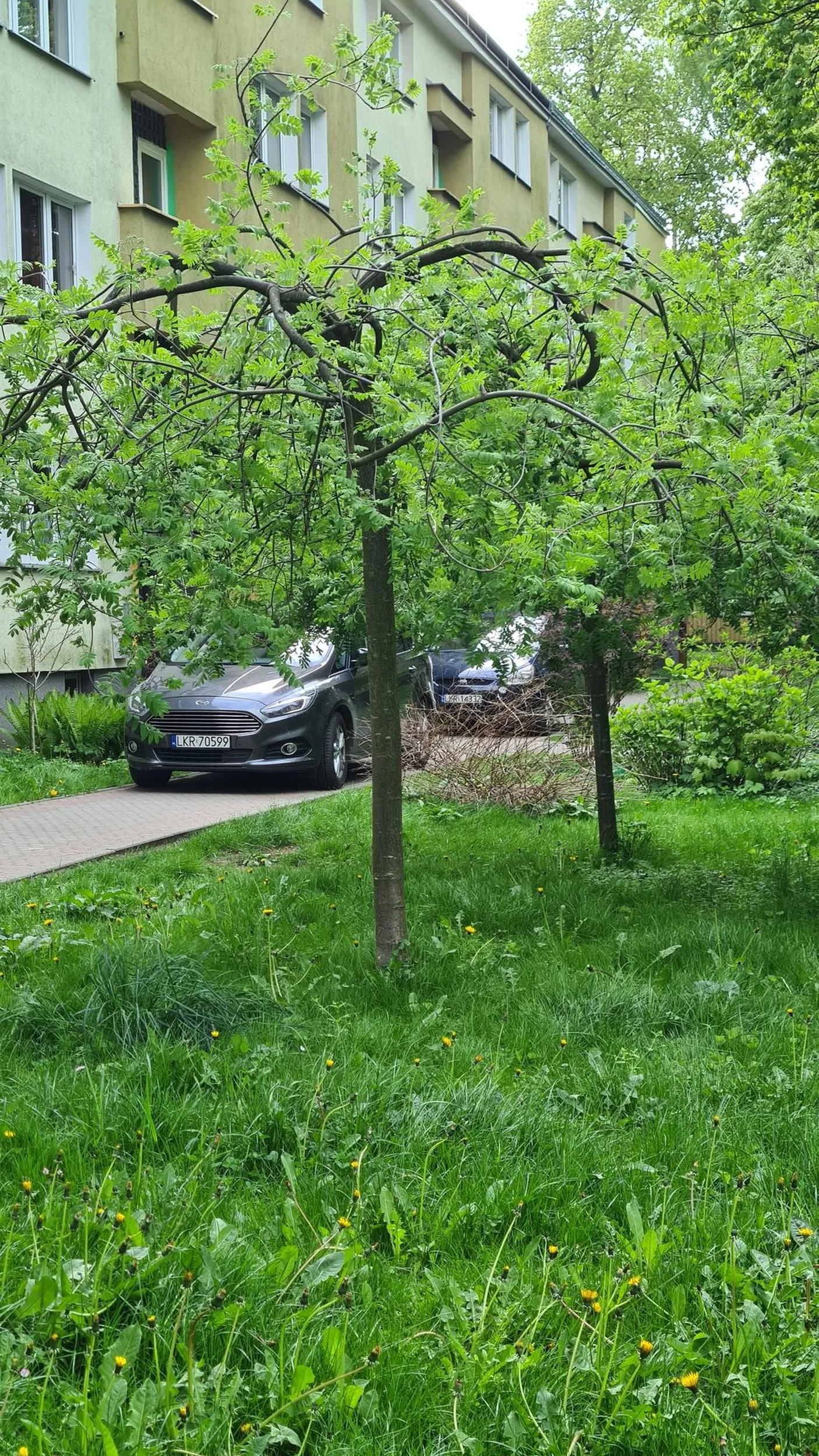 Lubię parkować pod klatką