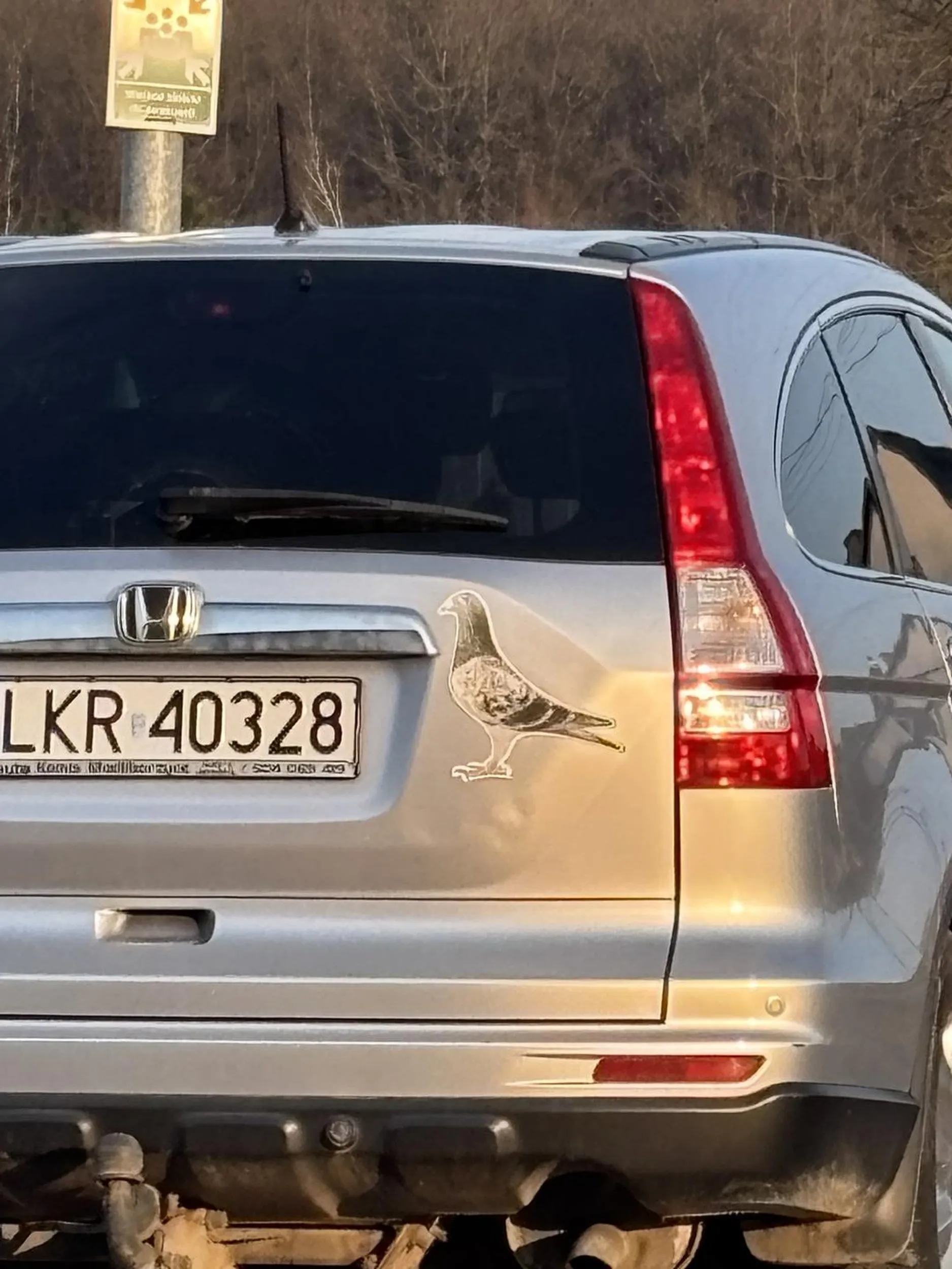 FAJNY GOLPOM KOLO REJESTRACJI