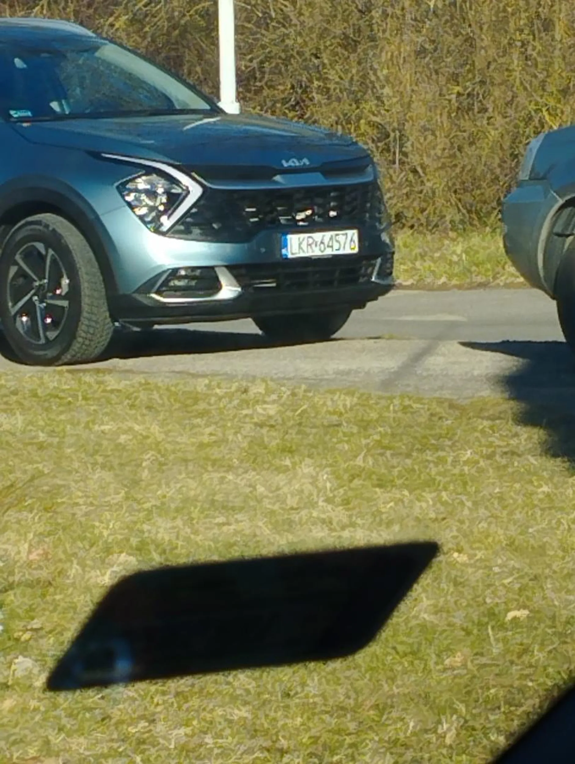 Kierowca notorycznie parkuję na chodniku