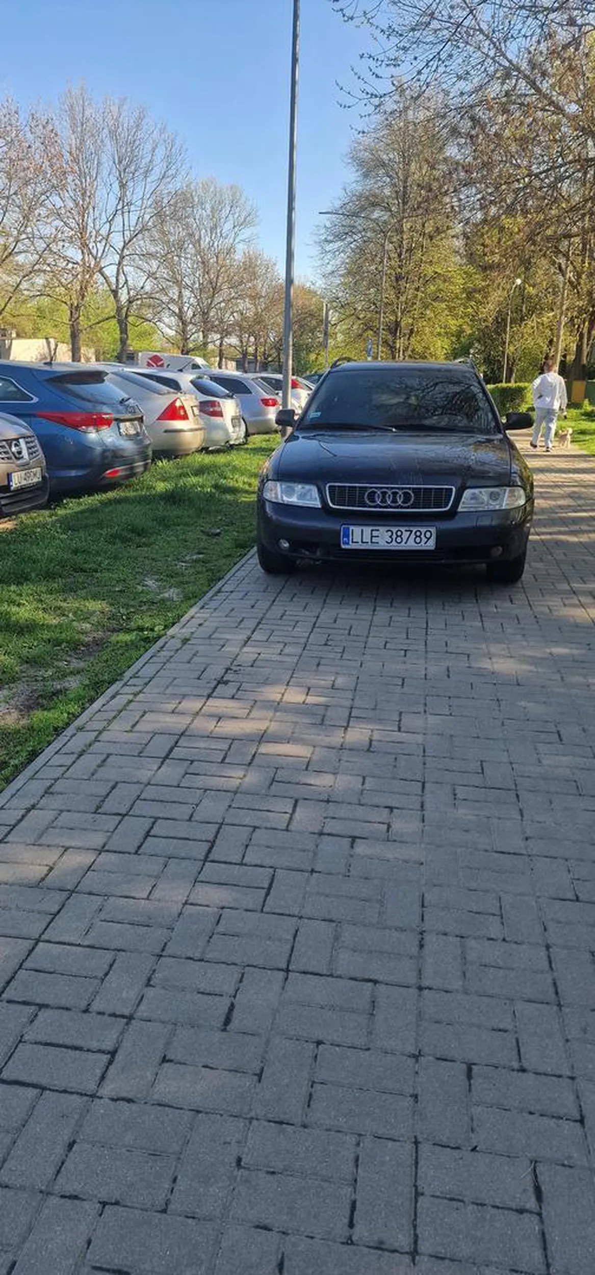 To nie jest miejsce parkingowe, jak nie masz miejsca to nie parkuj na chodniku bo jak cie spotkam to dam ci kostkę do naprawy po twoim złomie.