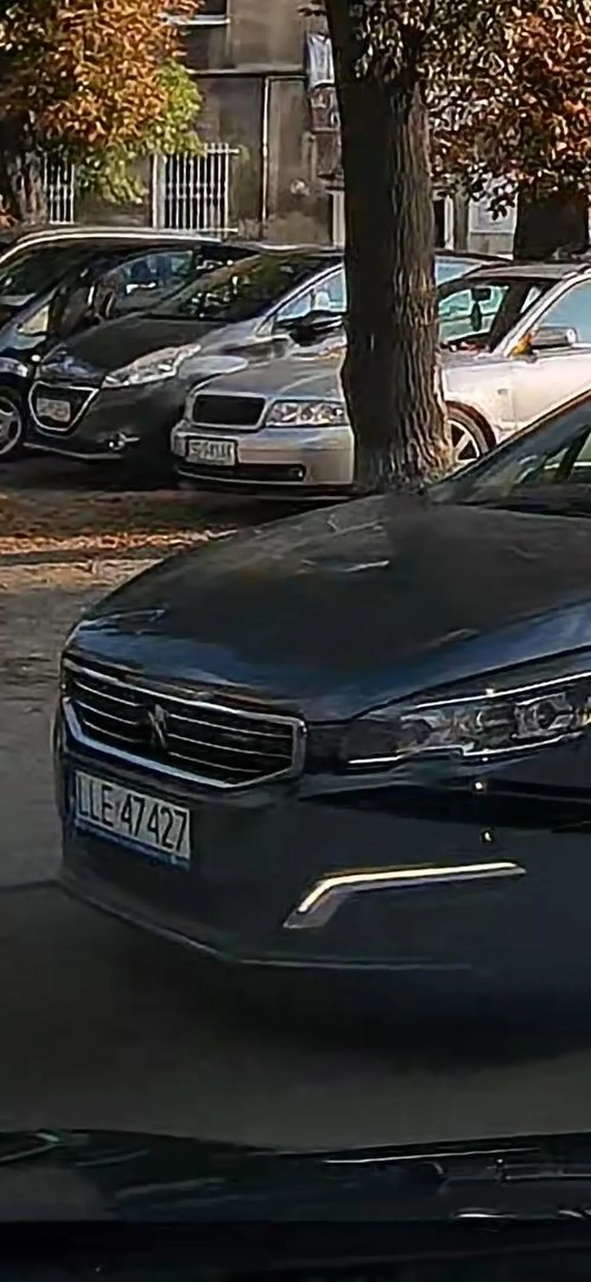 Gratuluję pomysłu parkowania! Świetne miejsce żeby zastawić ludzi na parkingu i Skodę. Masz szczęście że zapominałem że mam karniaki w aucie