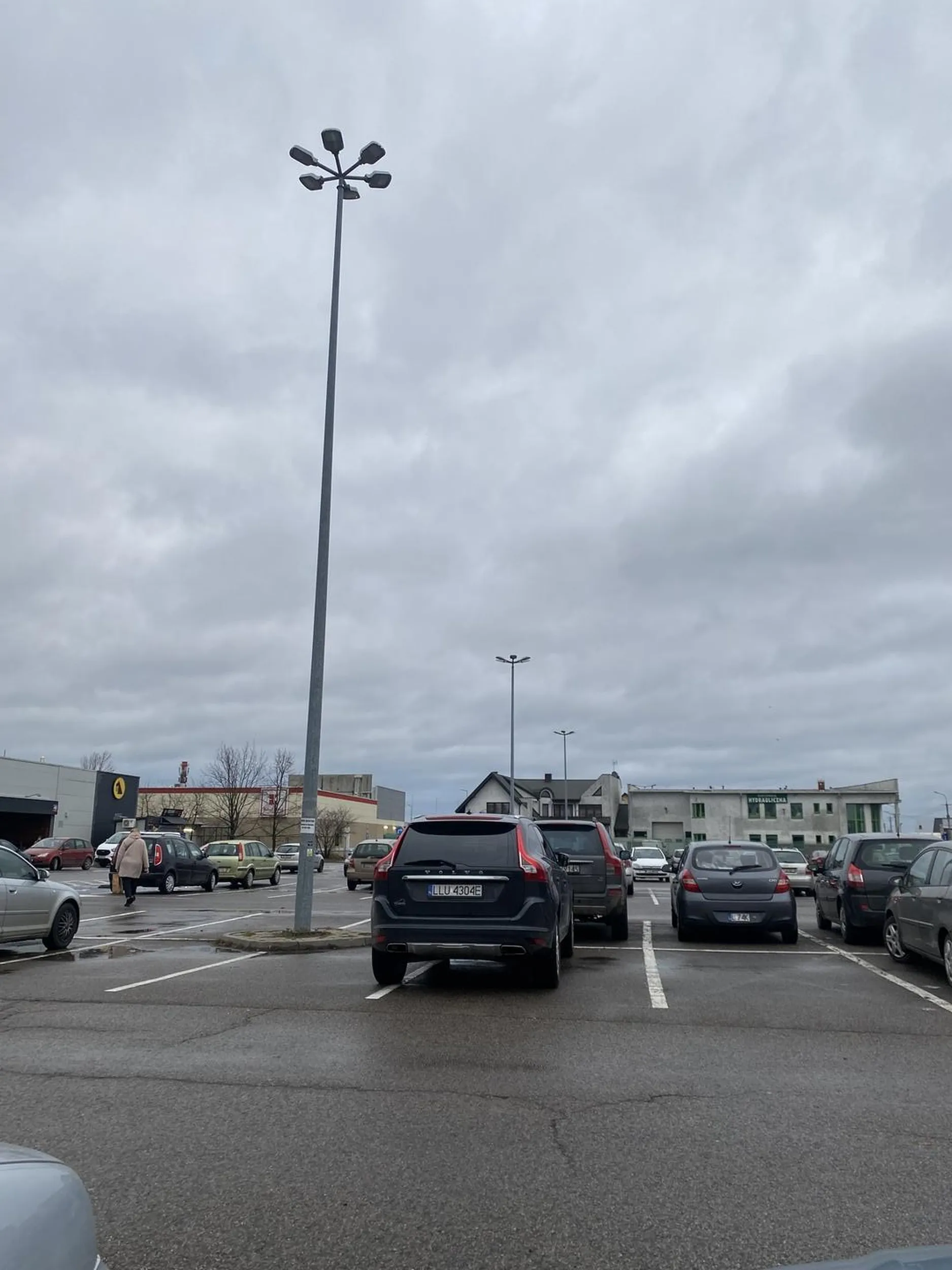 Lulku parkuj w liniach