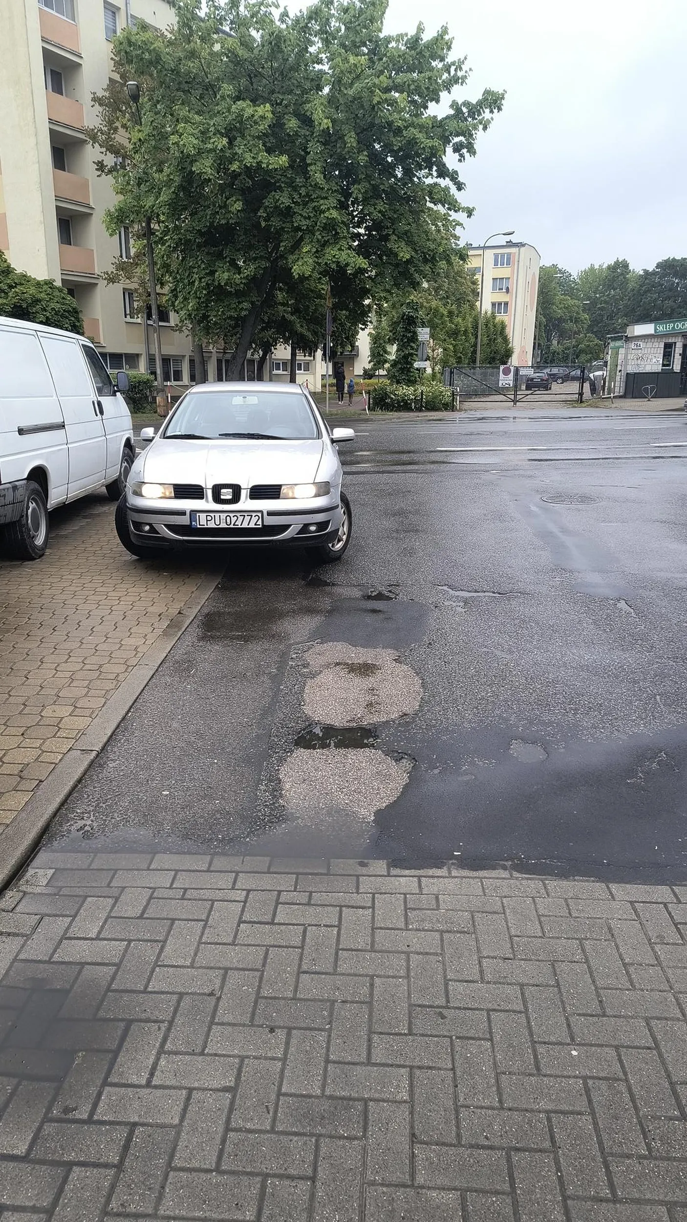 Mistrzyni parkowania