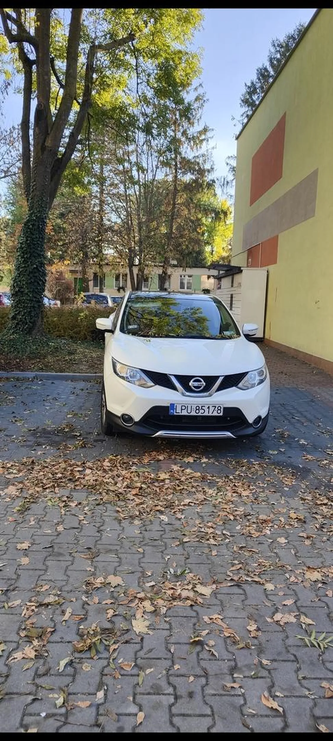 Gratuluje parkowania