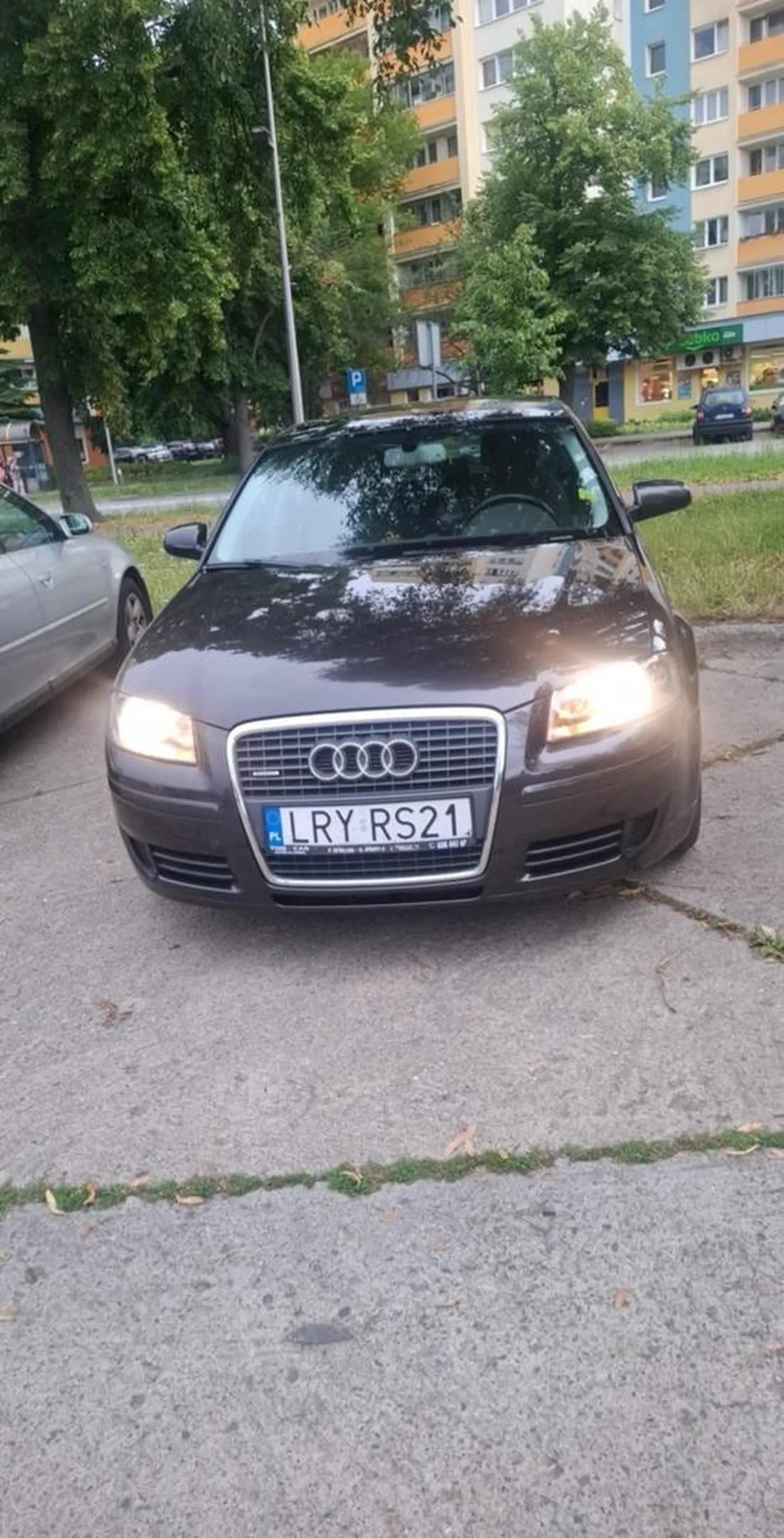 Pani w Audi bardzo ładna i piękna. Jest bardzo pewna na drodze, spokojna, oraz opanowana. Często dziękuje światłami migając. Polecam kierowcę.