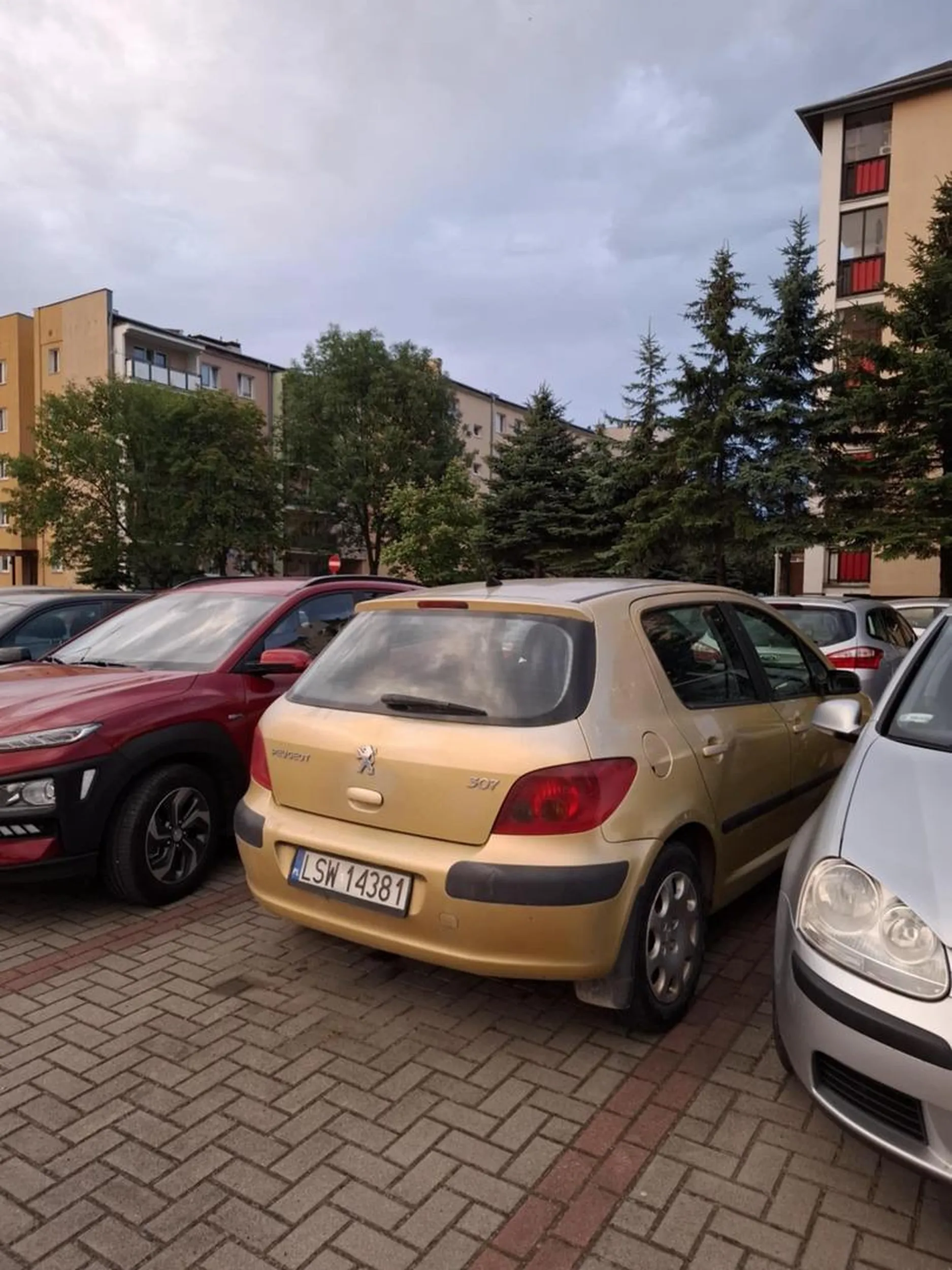 naucz się parkować