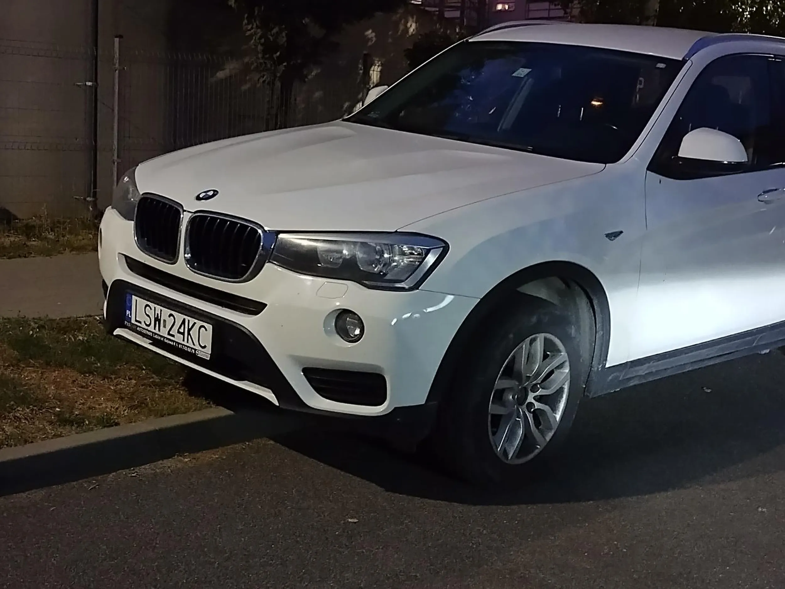 A dziś ten zjeb zaparkował na trawniku i przy podwójnej ciągłej.